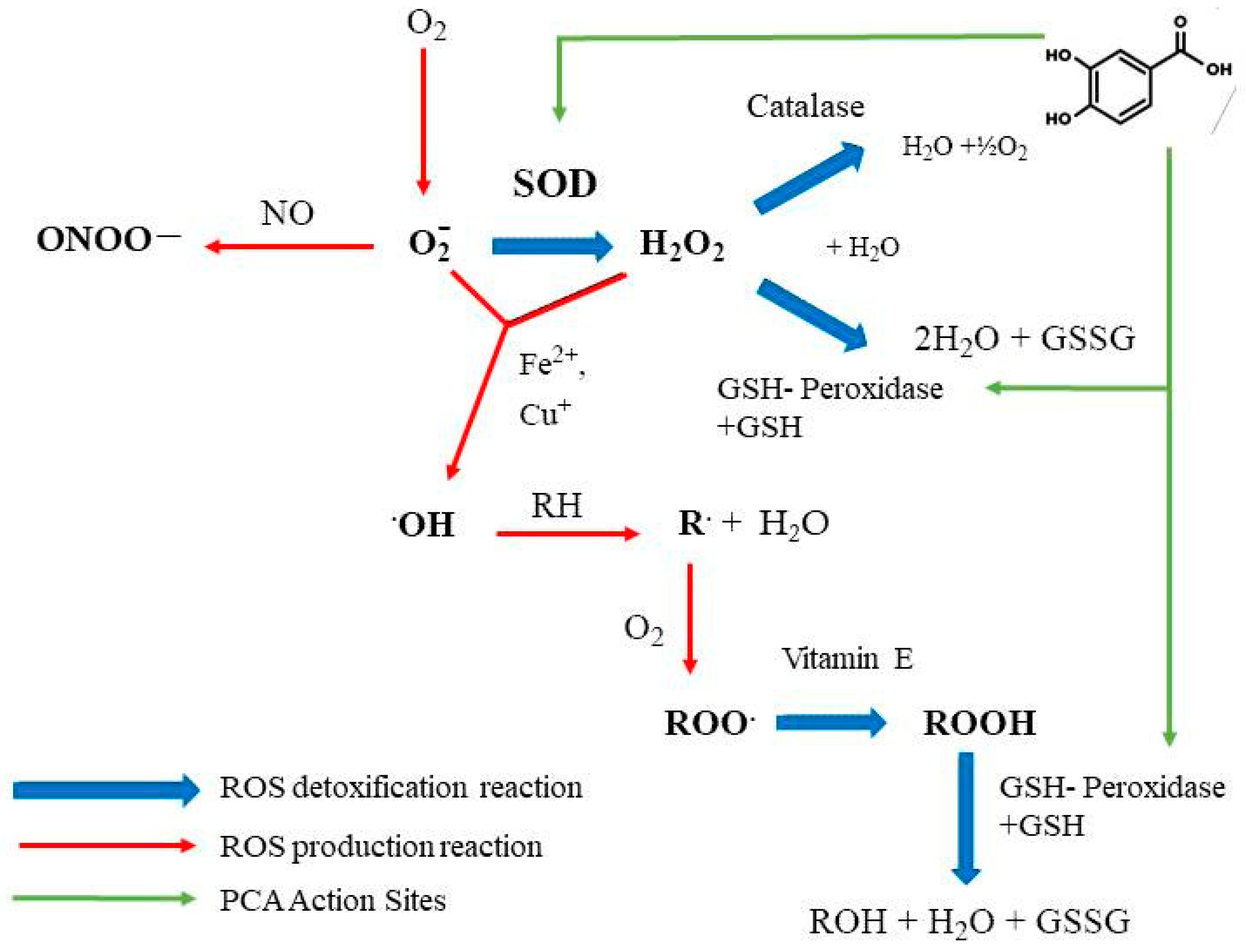 Molecules 29 01439 g003