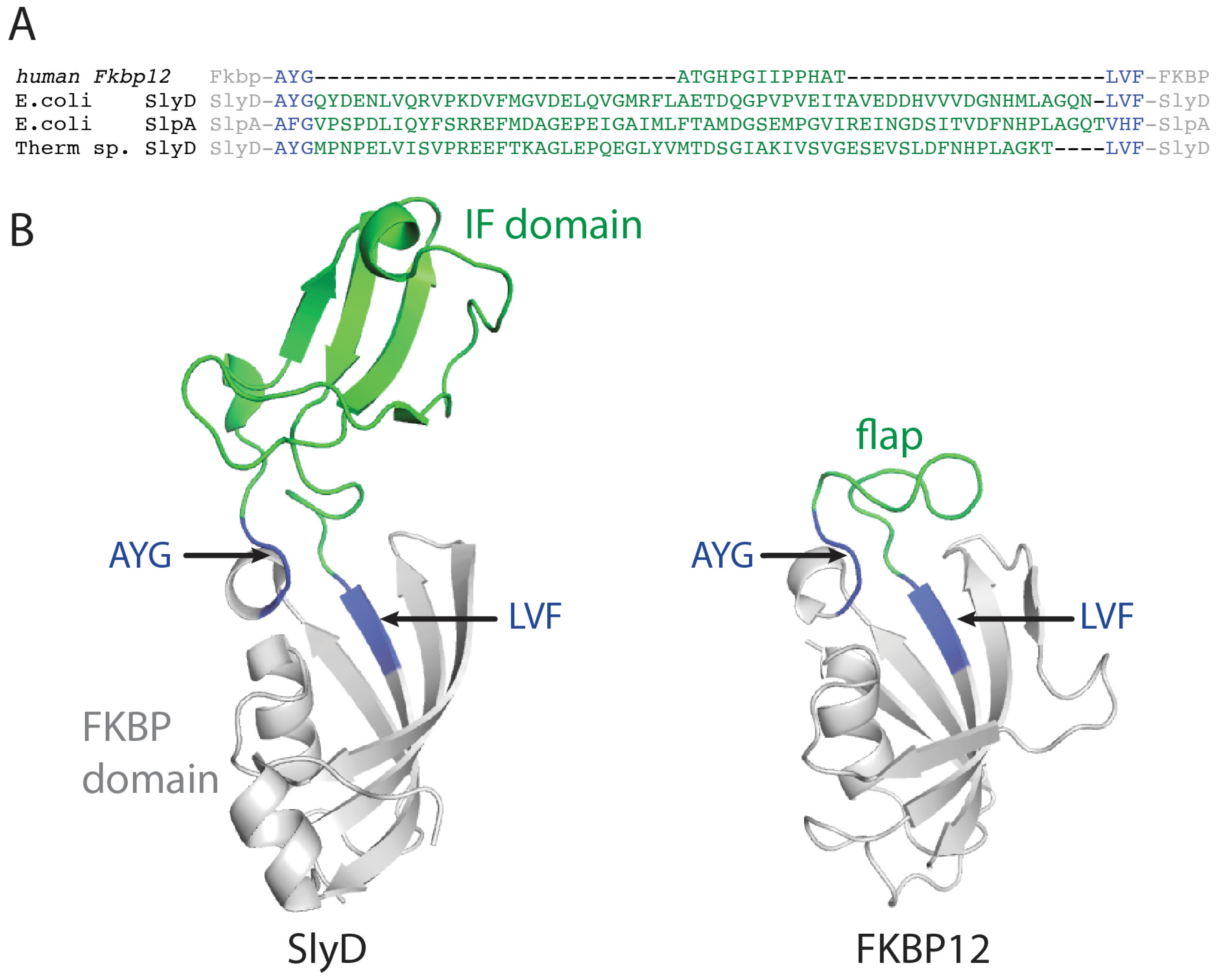 Molecules 29 01440 g001