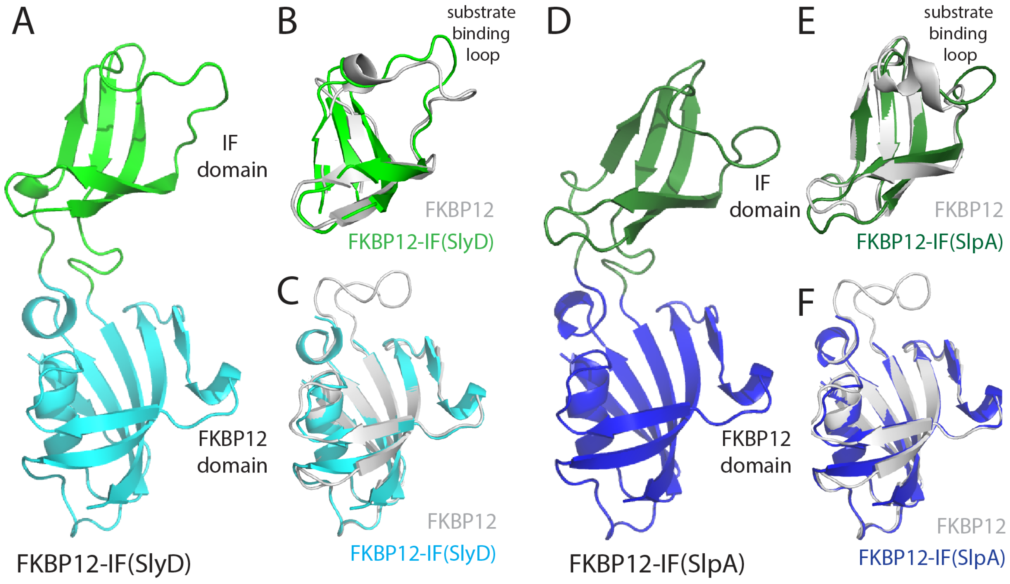 Molecules 29 01440 g004