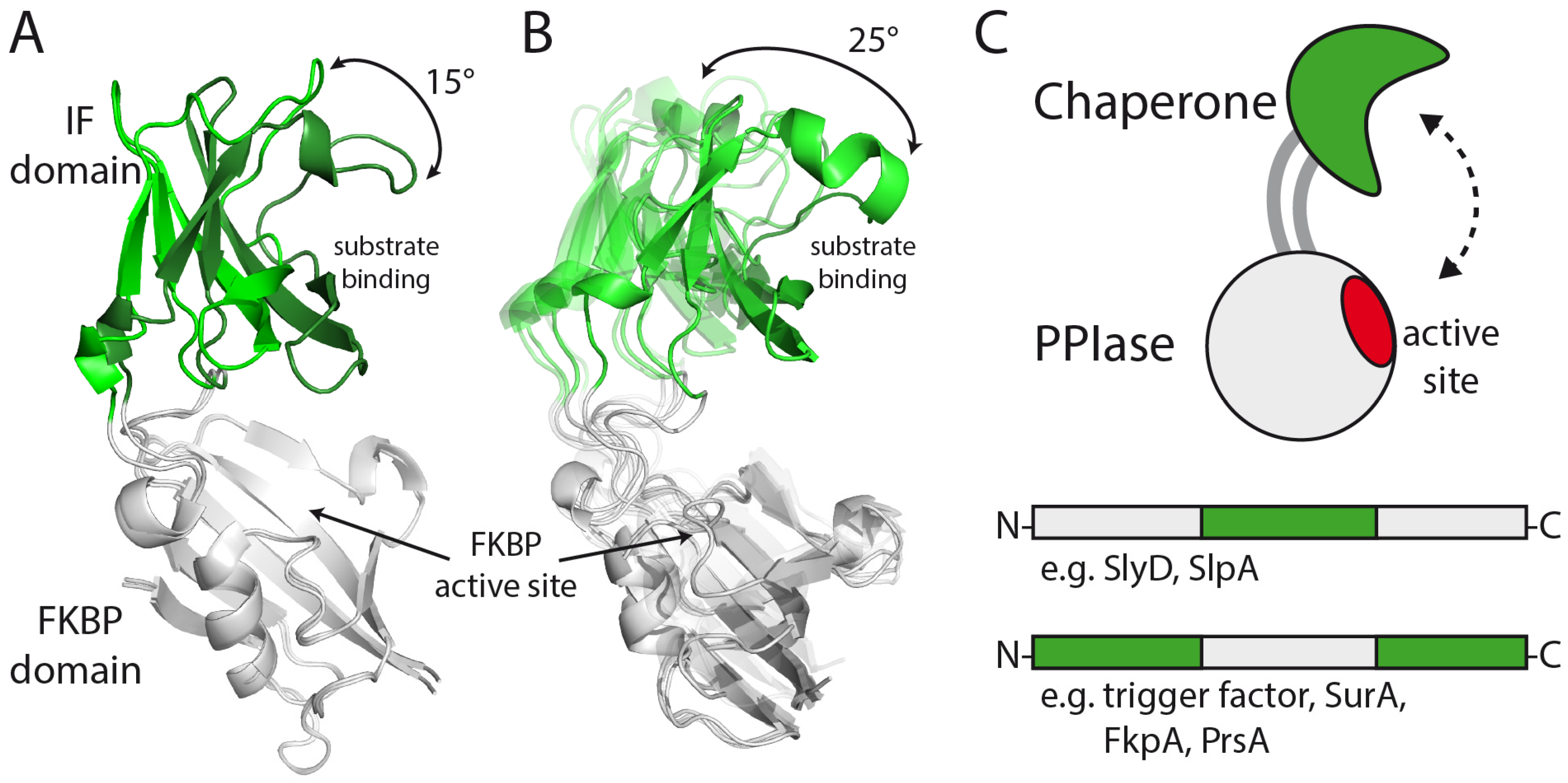 Molecules 29 01440 g005