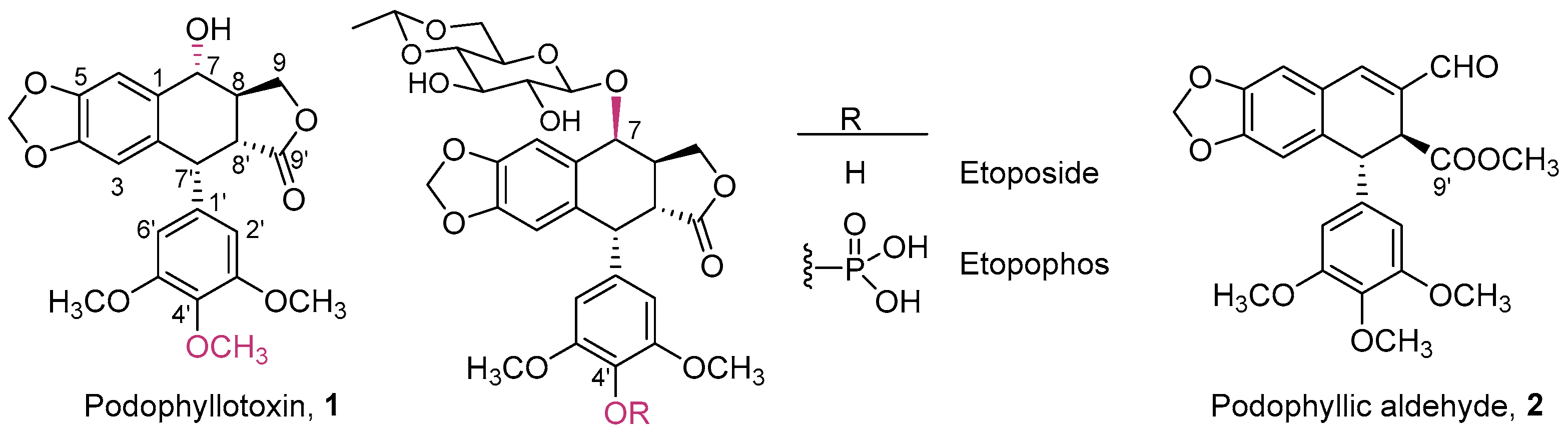 Molecules 29 01442 g001