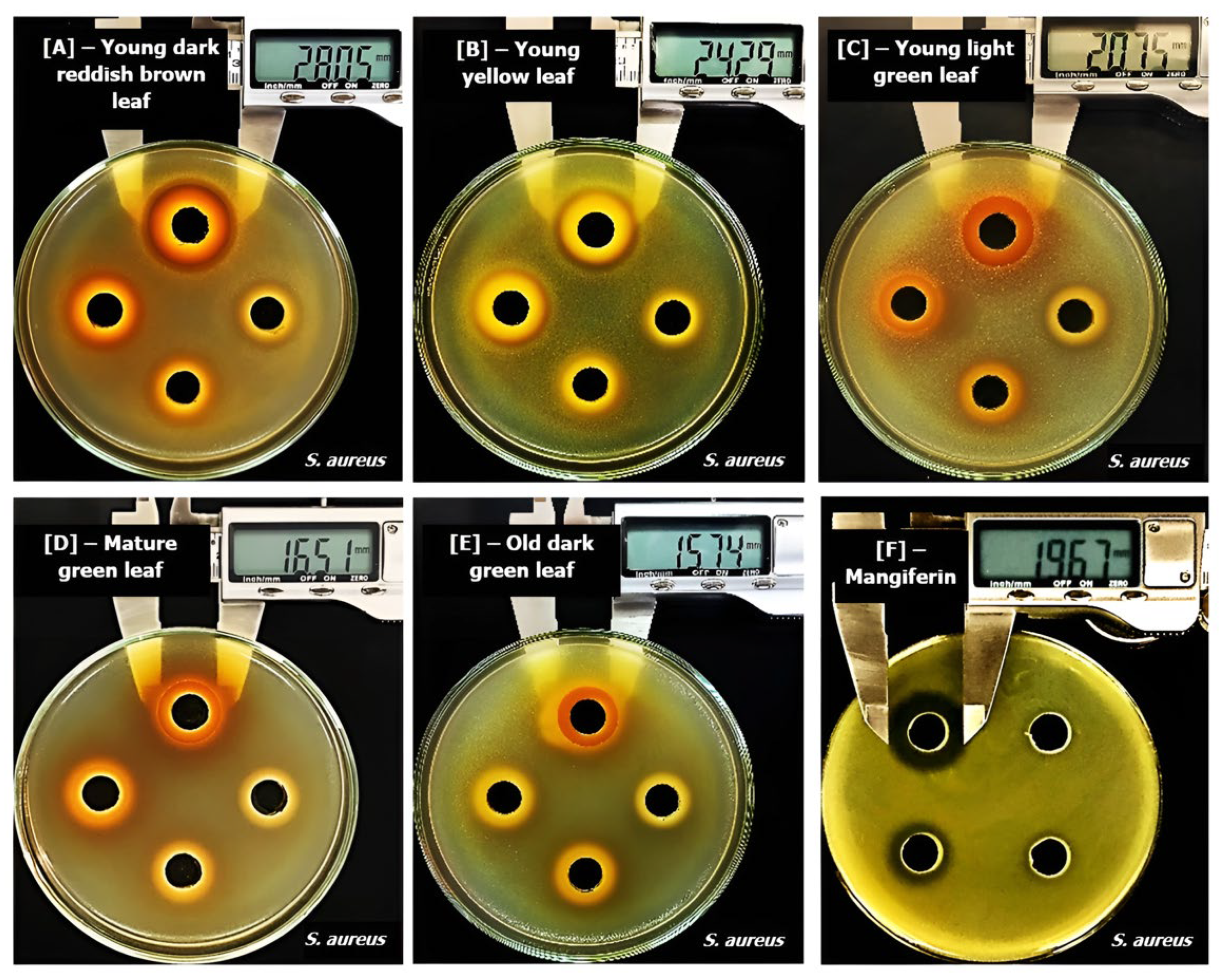 Molecules 29 01443 g003 Molecules 29 01443 g003
