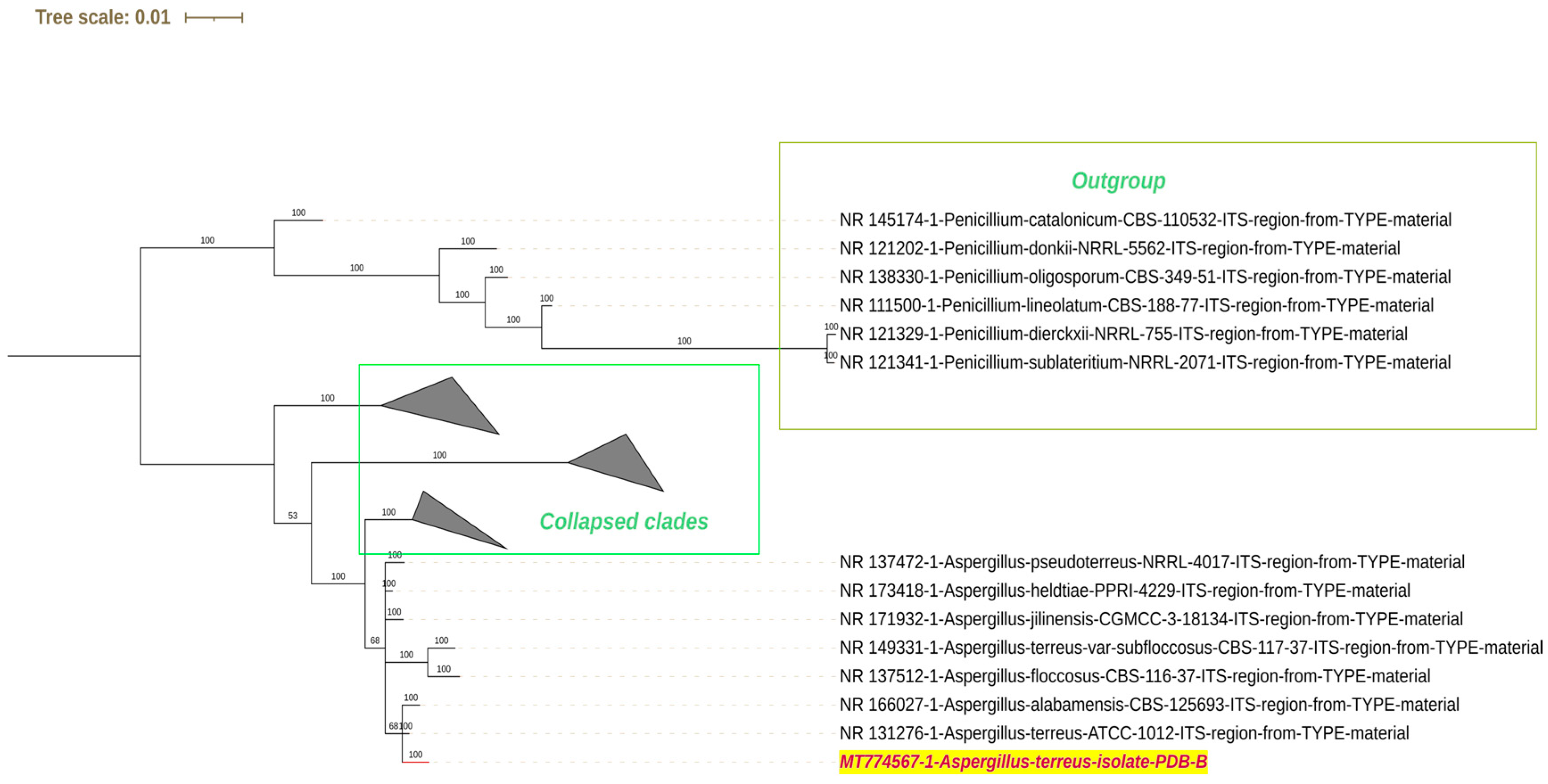 Molecules 29 01446 g001