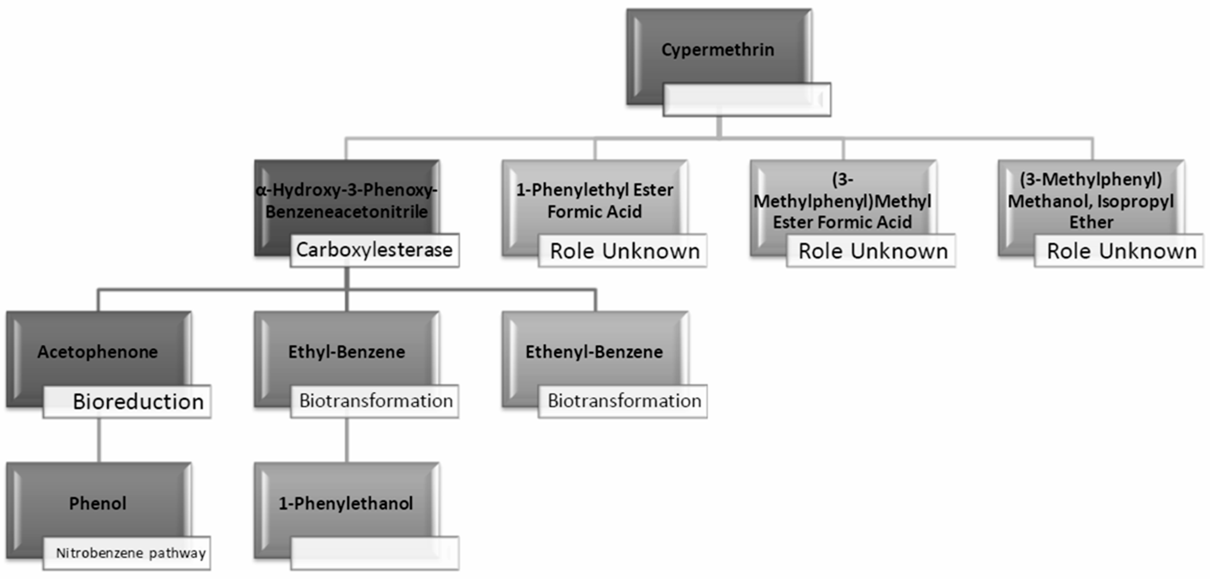 Molecules 29 01446 g011