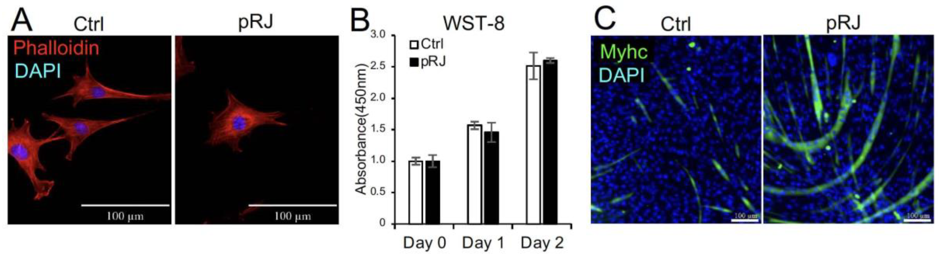 Molecules 29 01449 g001