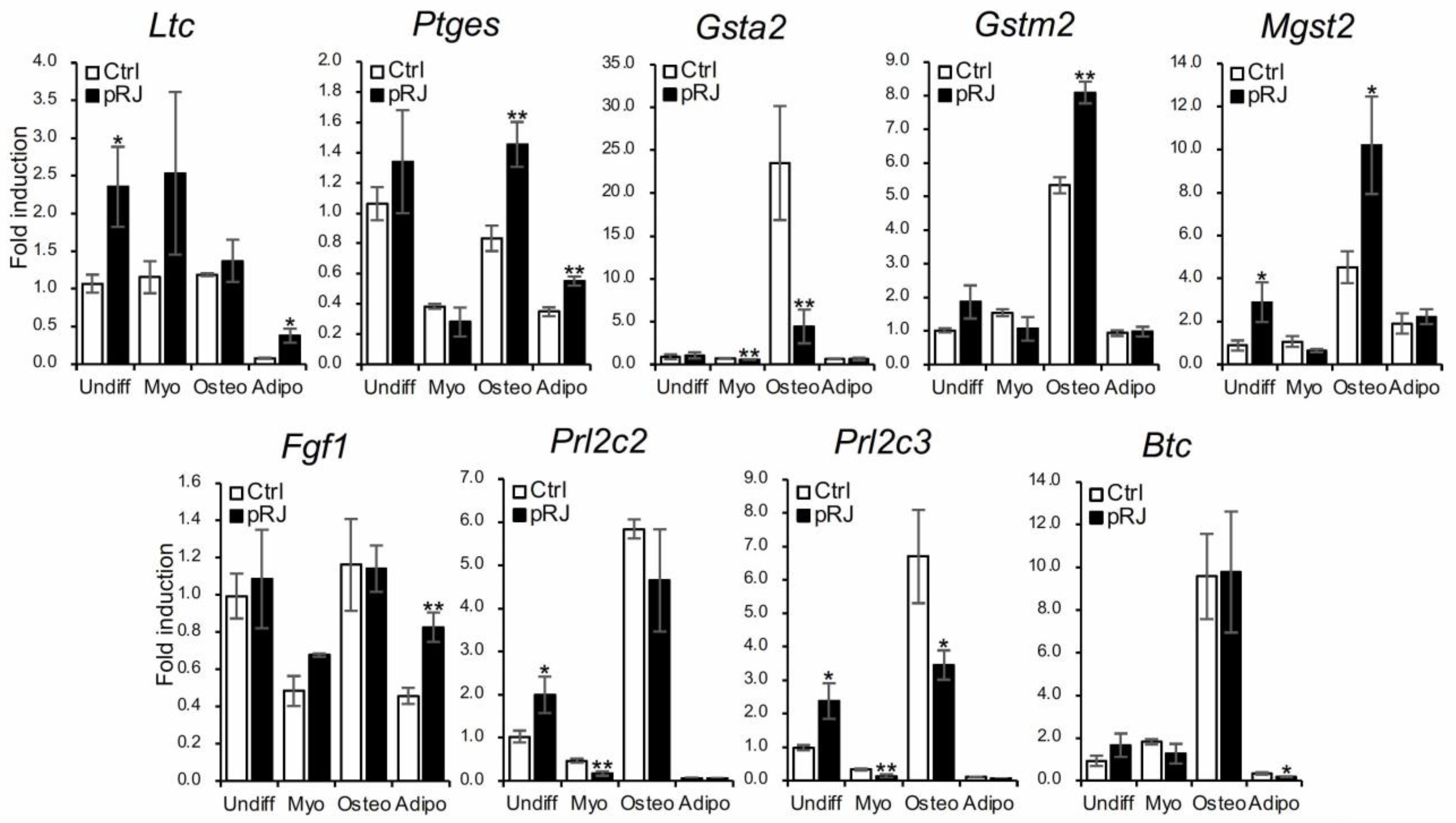 Molecules 29 01449 g006