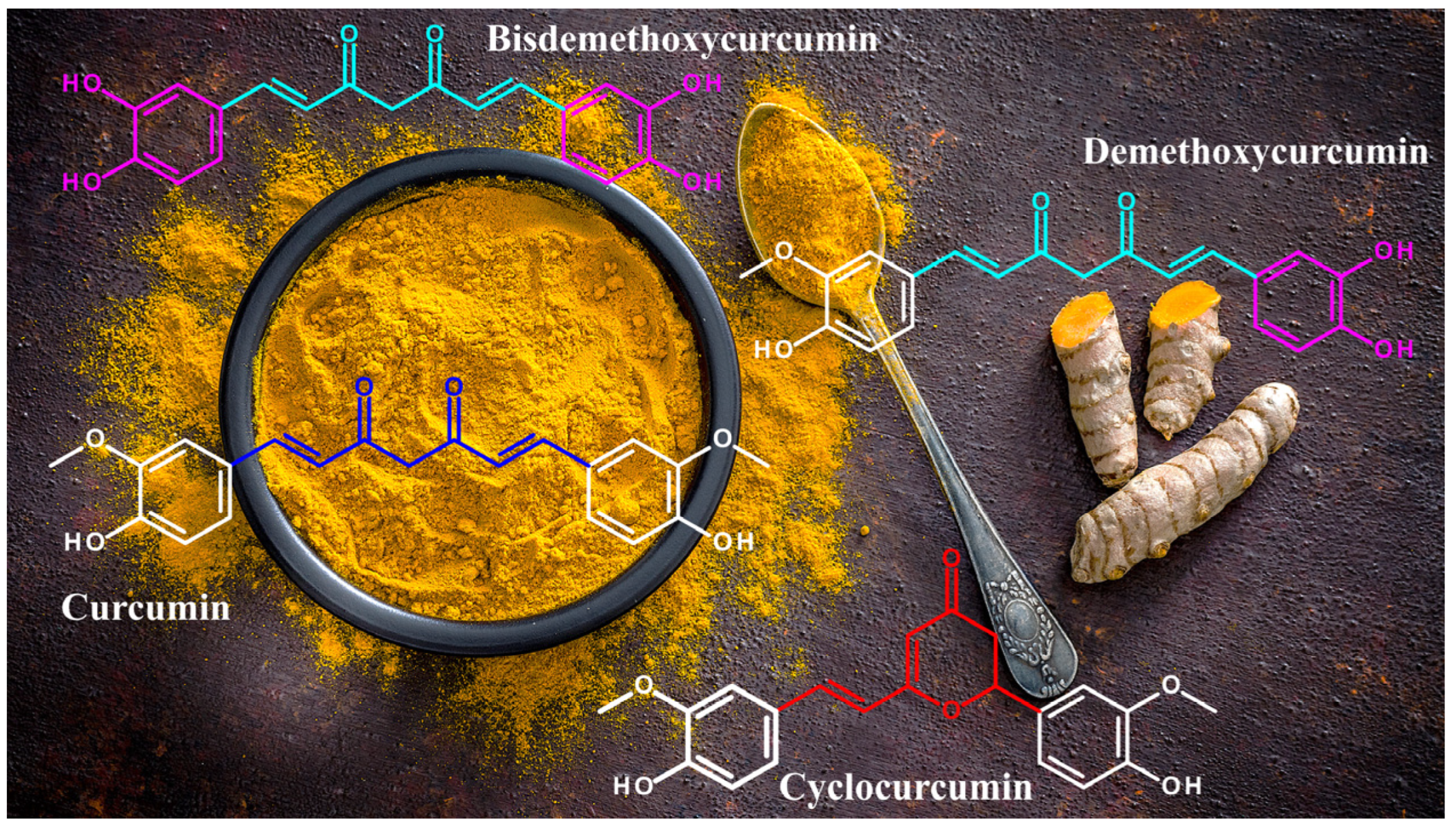 Cyclocurcumin as Promising Bioactive Natural Compound: An