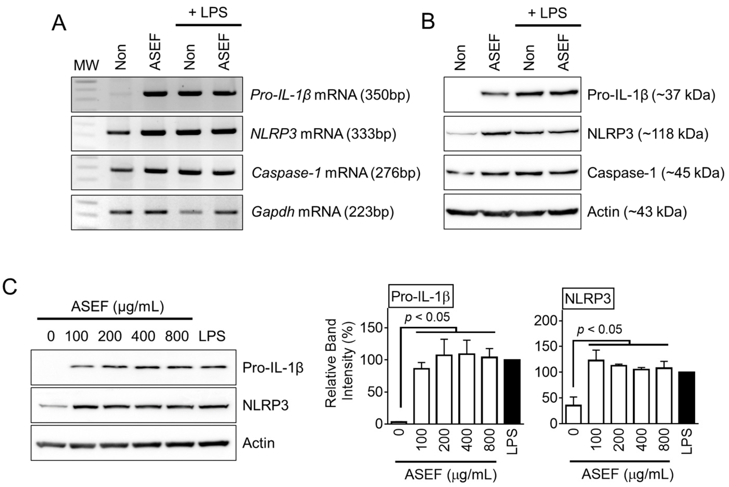 Molecules 29 01455 g002