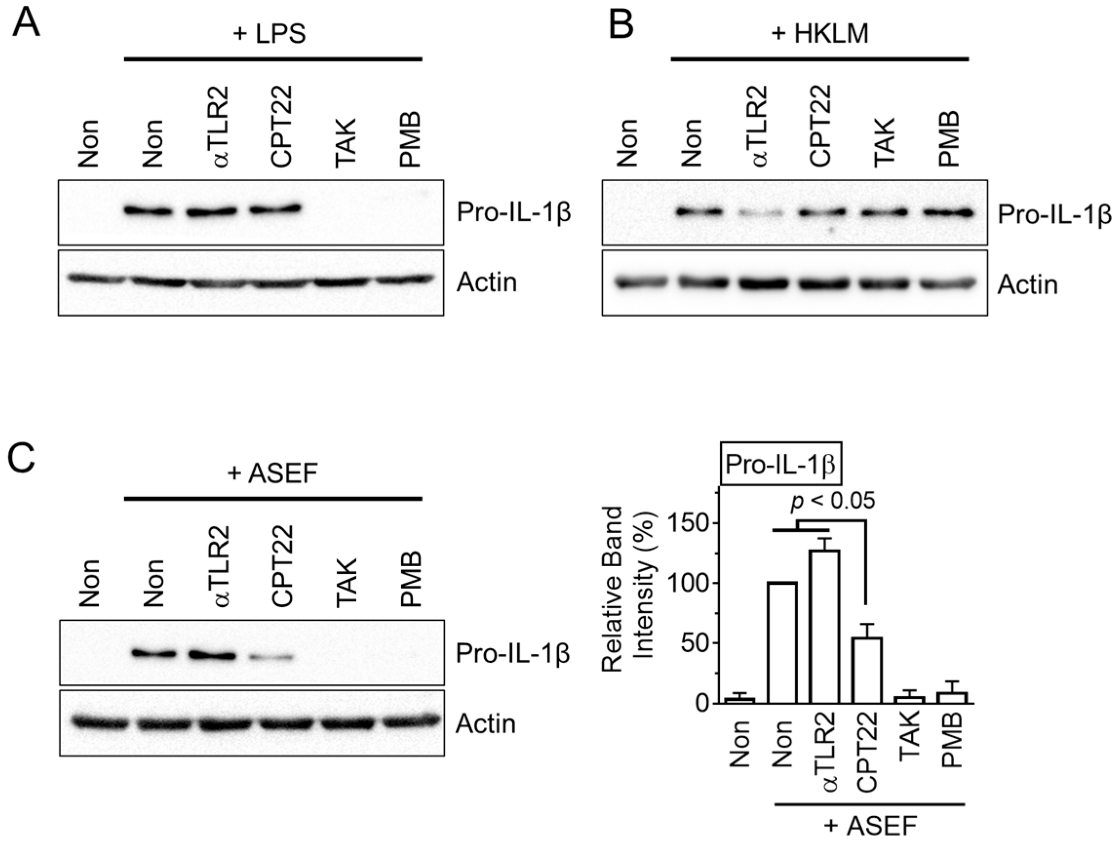 Molecules 29 01455 g003