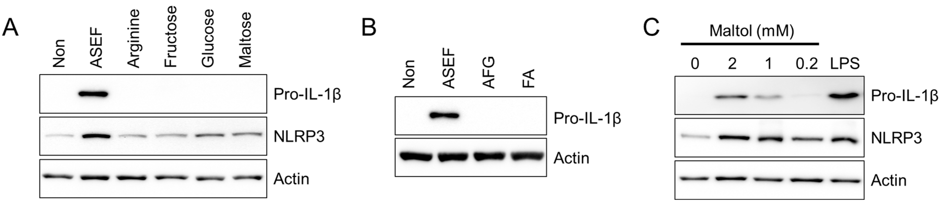 Molecules 29 01455 g004