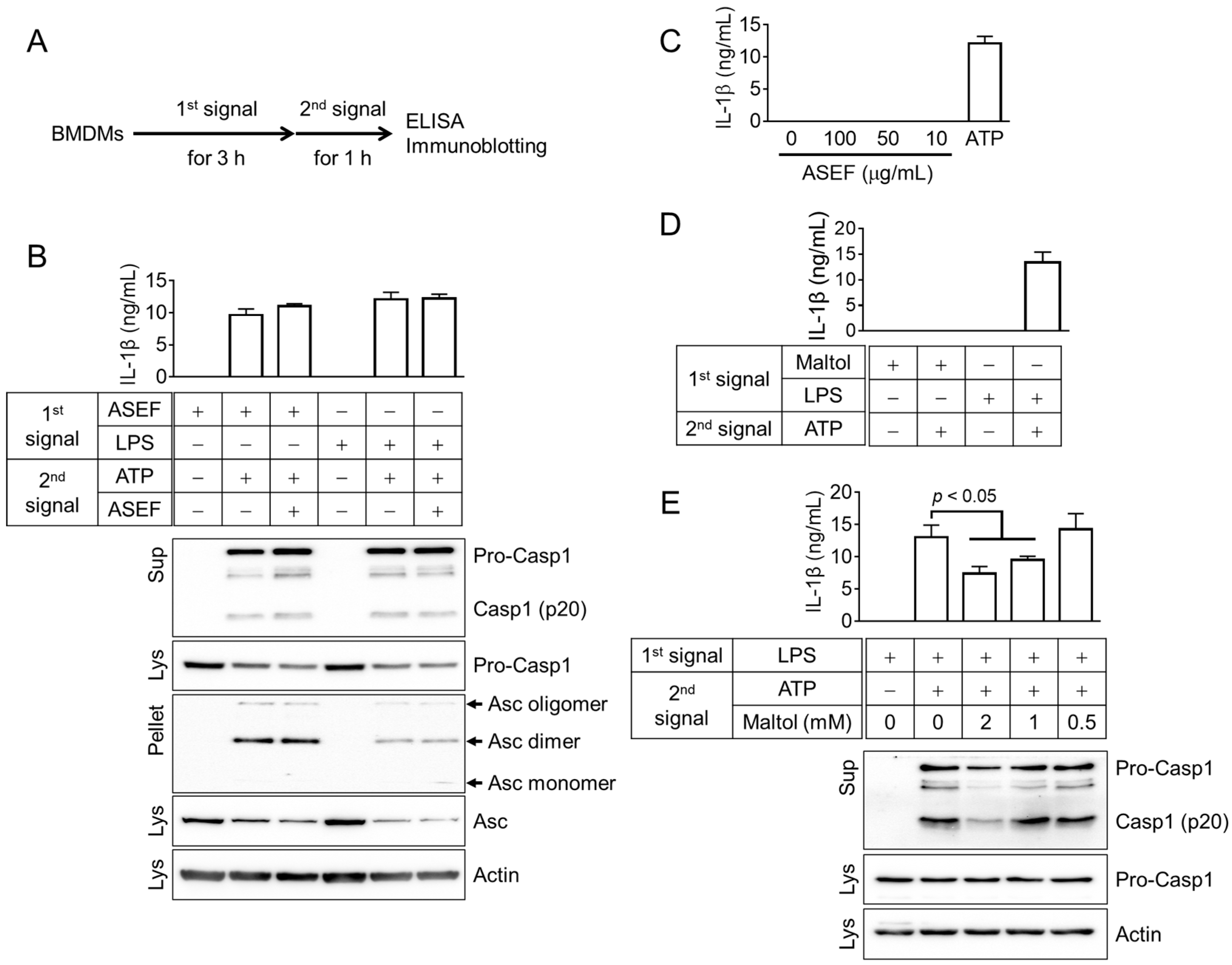 Molecules 29 01455 g005