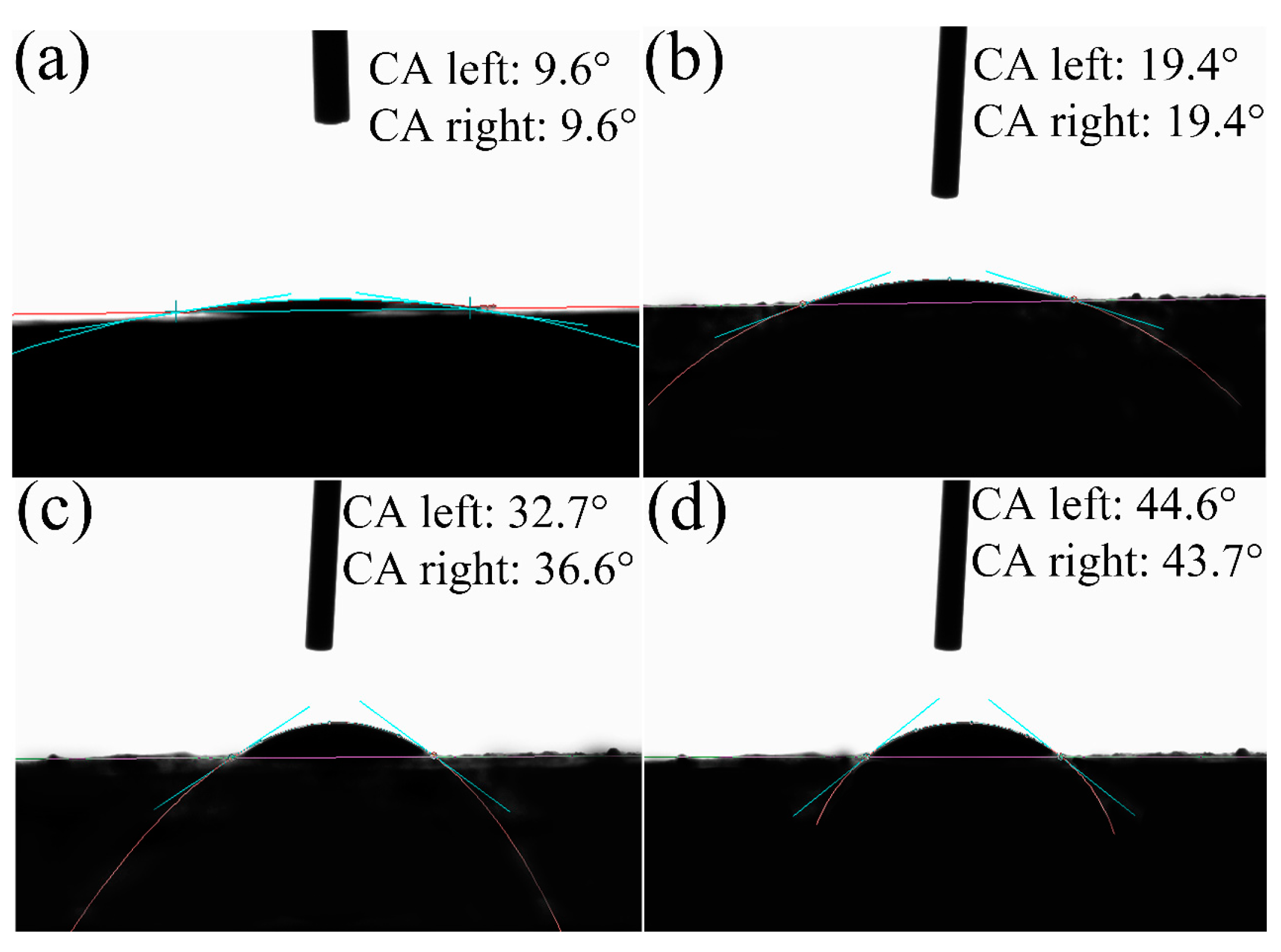 Molecules 29 01456 g011