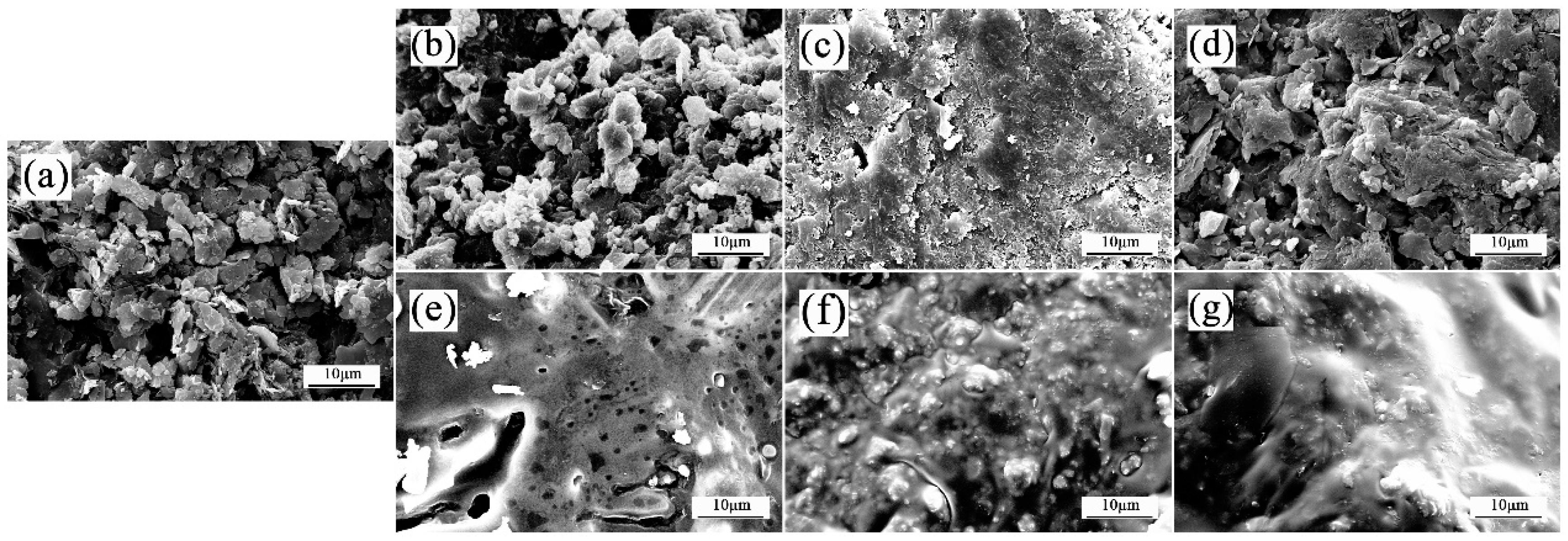 Molecules 29 01456 g013