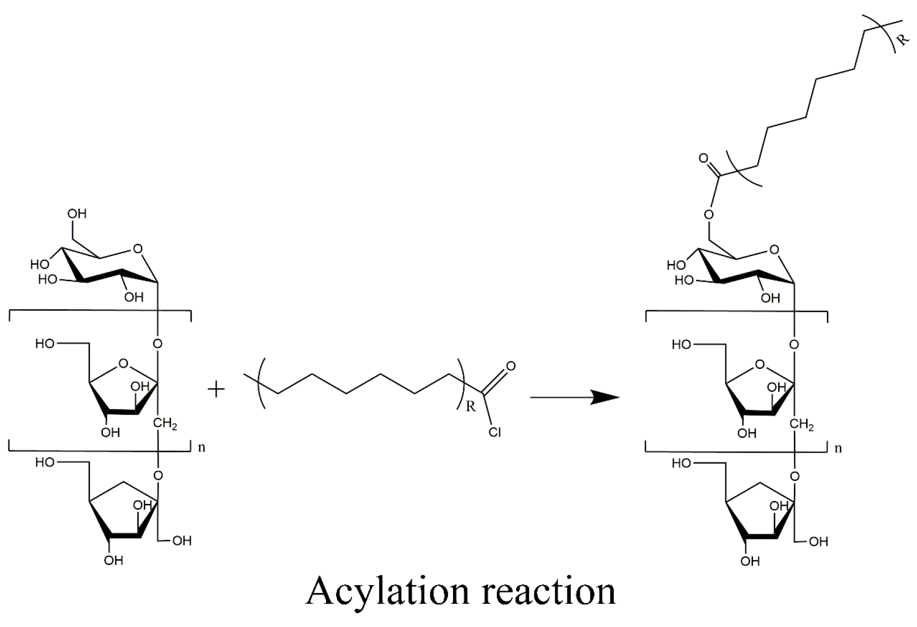 Molecules 29 01456 g016