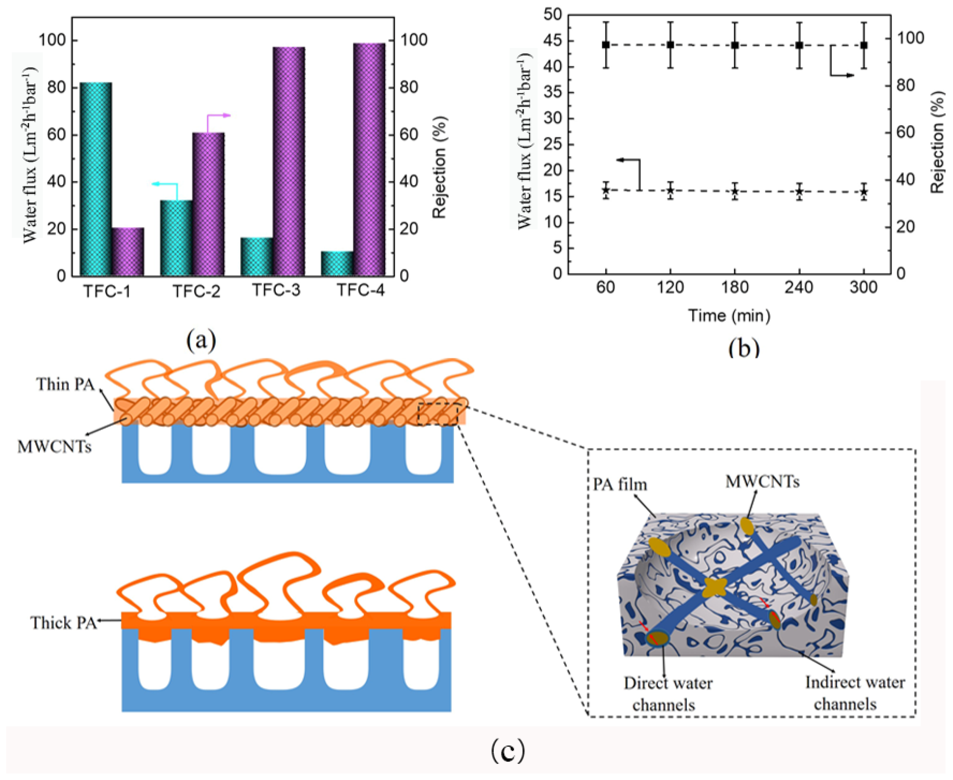 Molecules 29 01460 g005