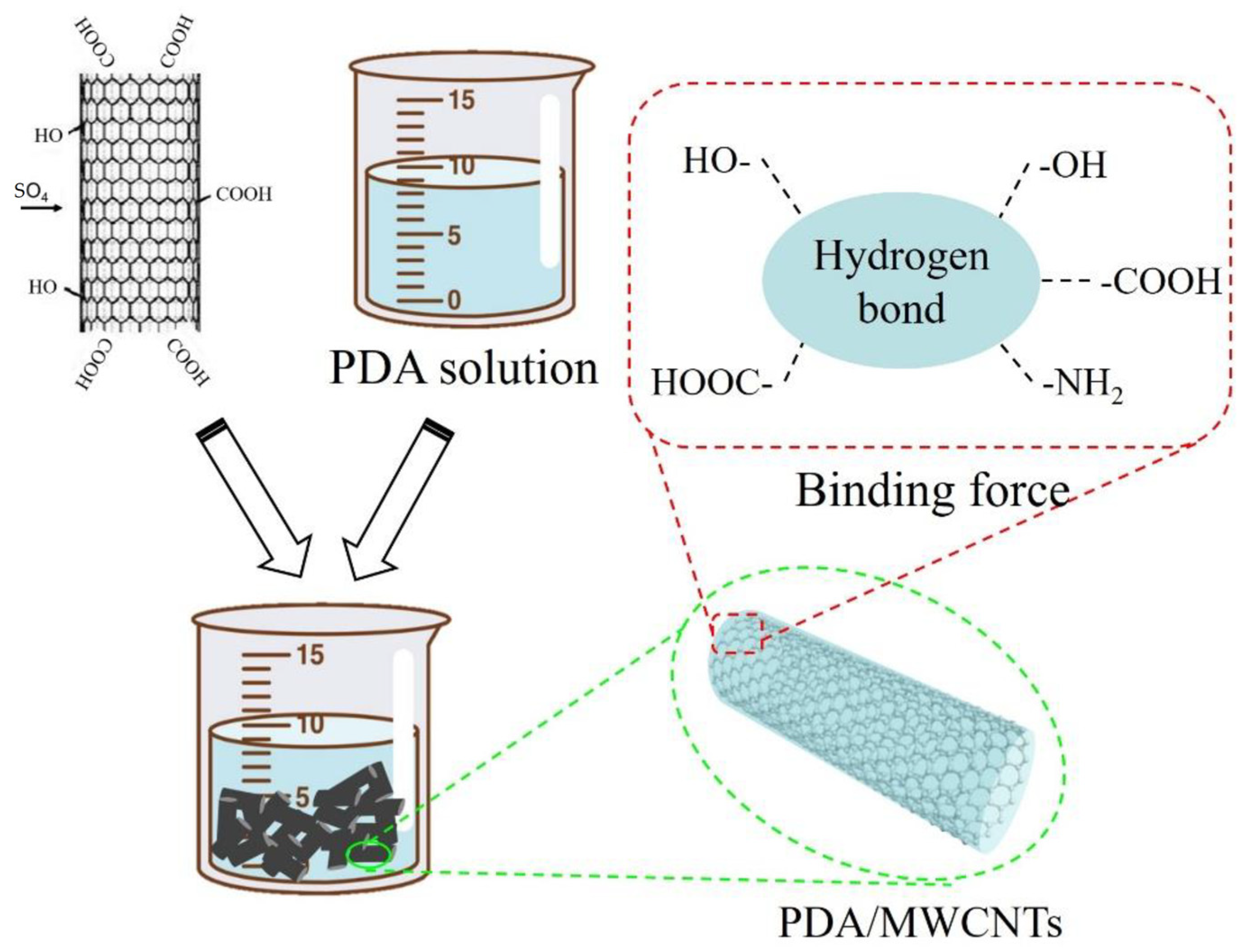 Molecules 29 01460 g006
