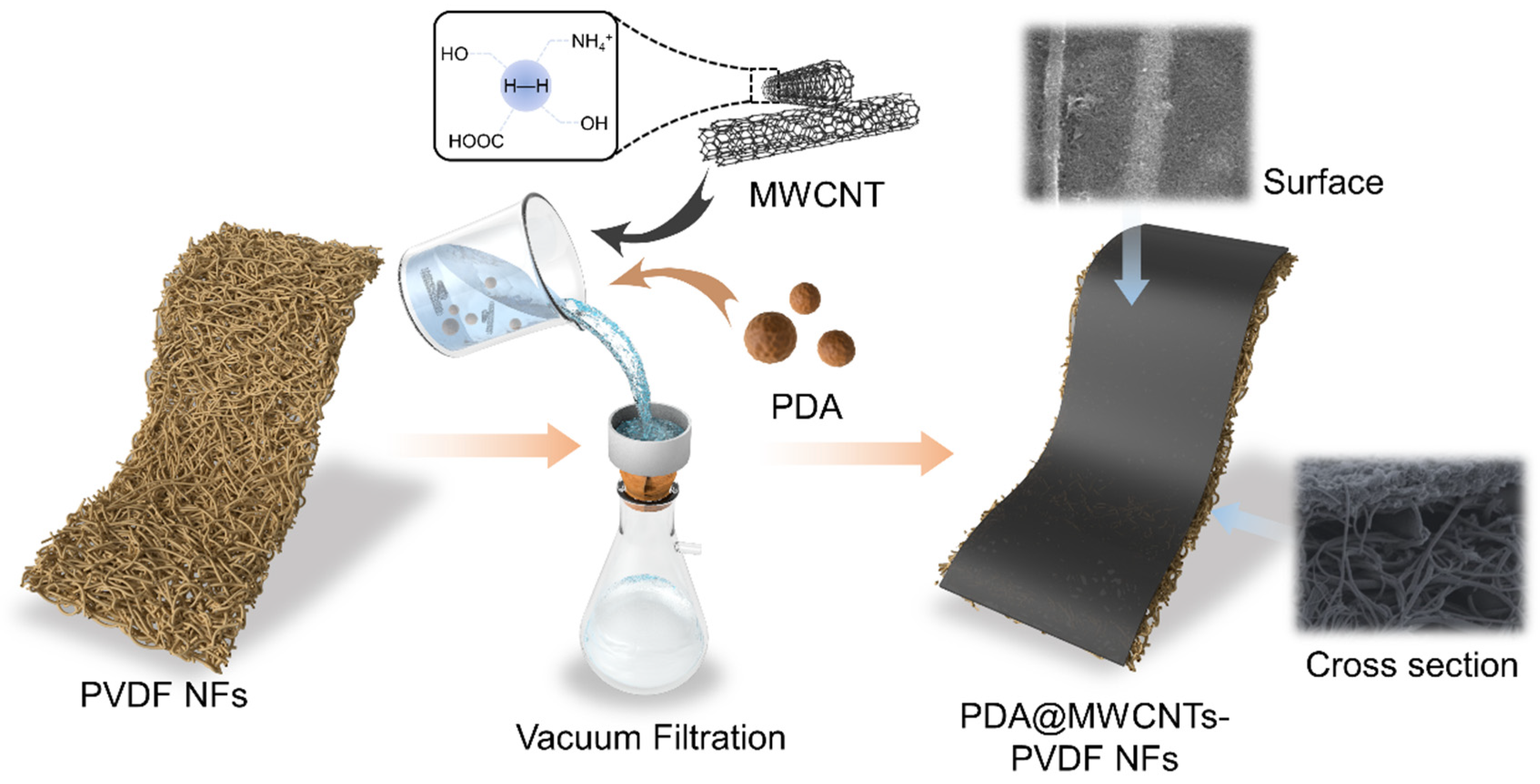 Molecules 29 01460 g007
