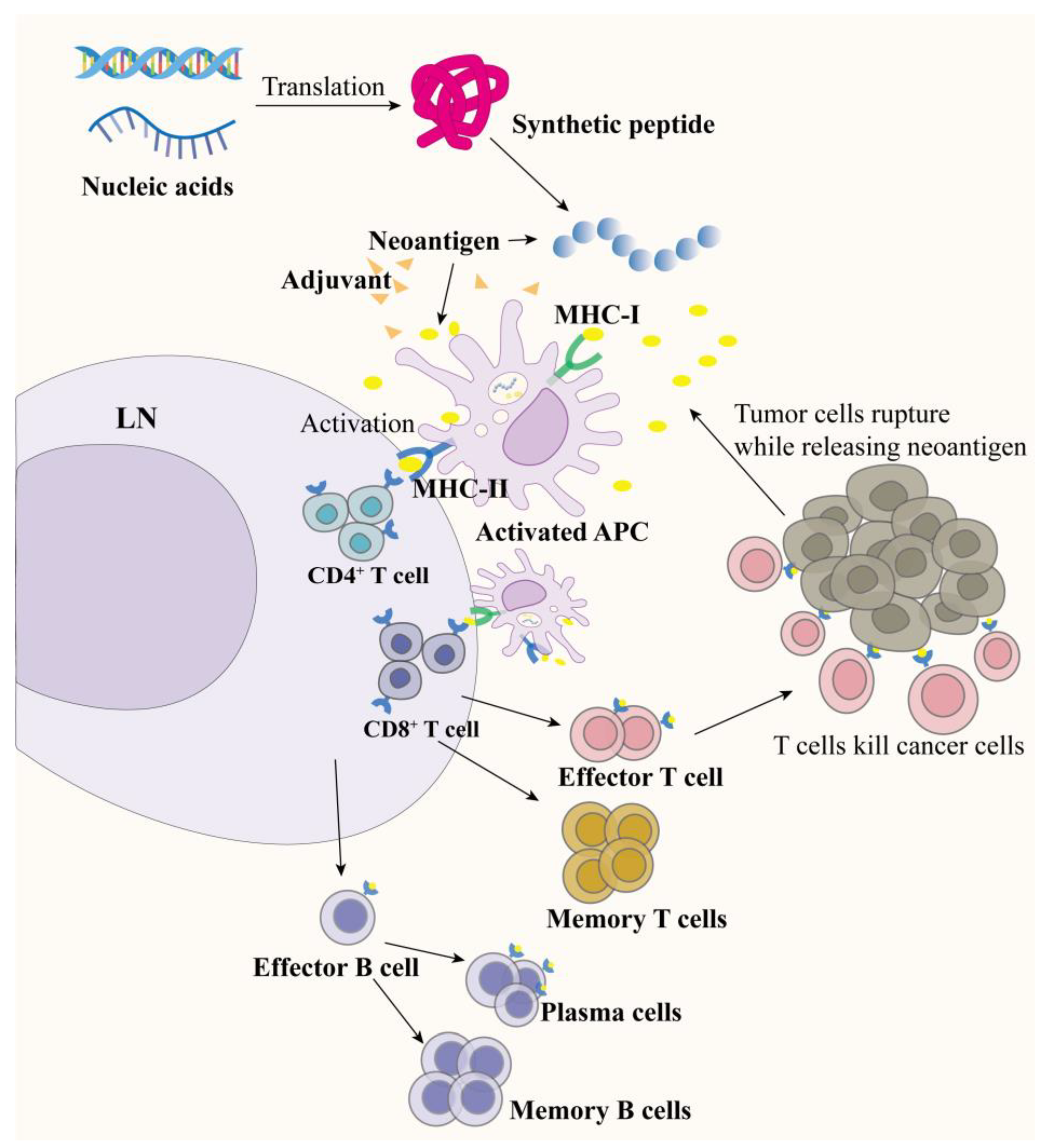 Molecules 29 01462 g001