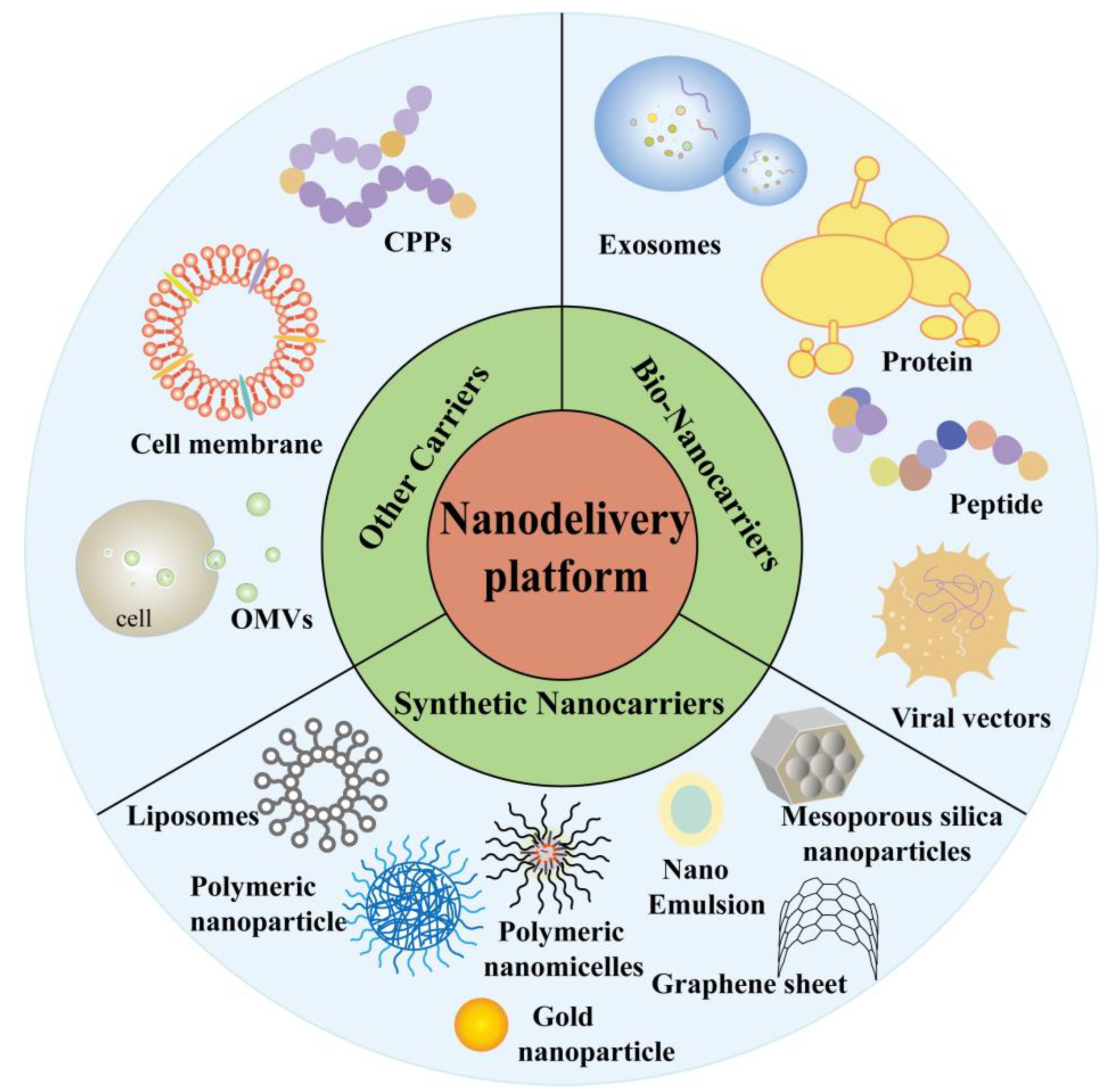 Molecules 29 01462 g002