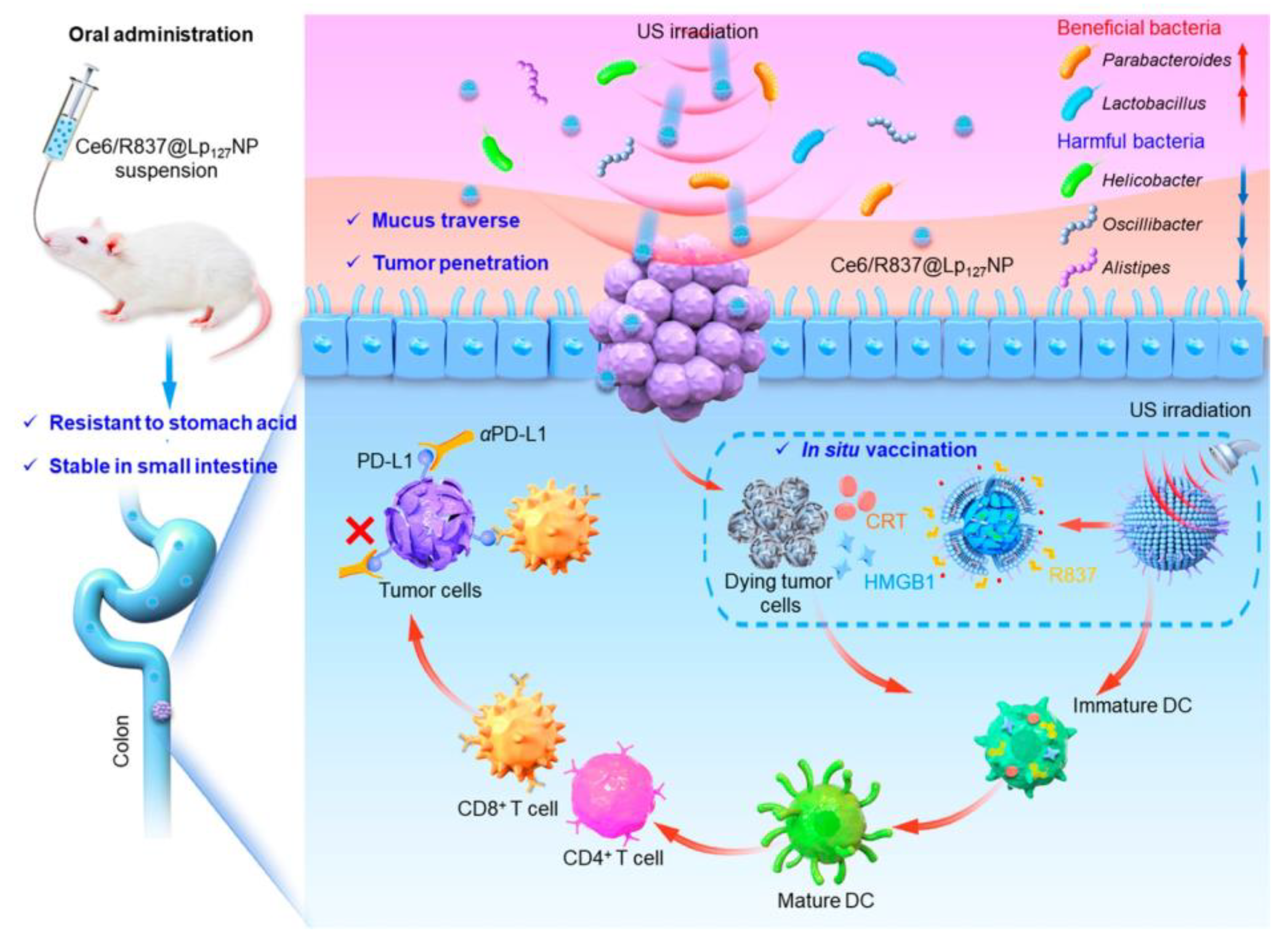 Molecules 29 01462 g004