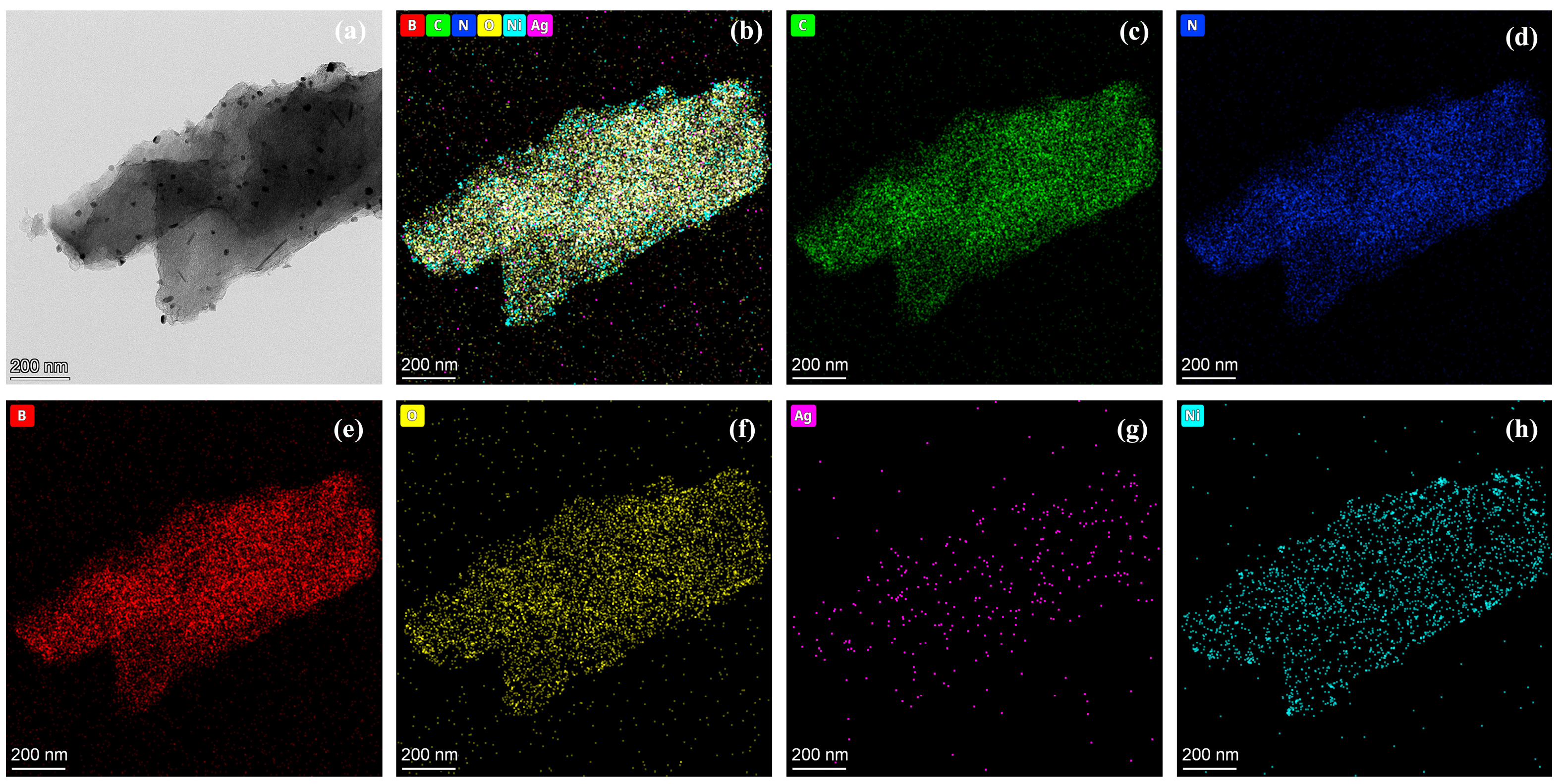 Molecules 29 01463 g004
