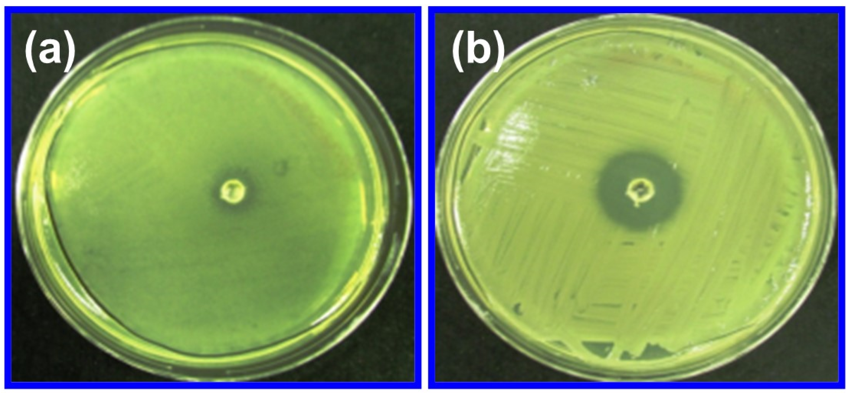 Molecules 29 01464 g007