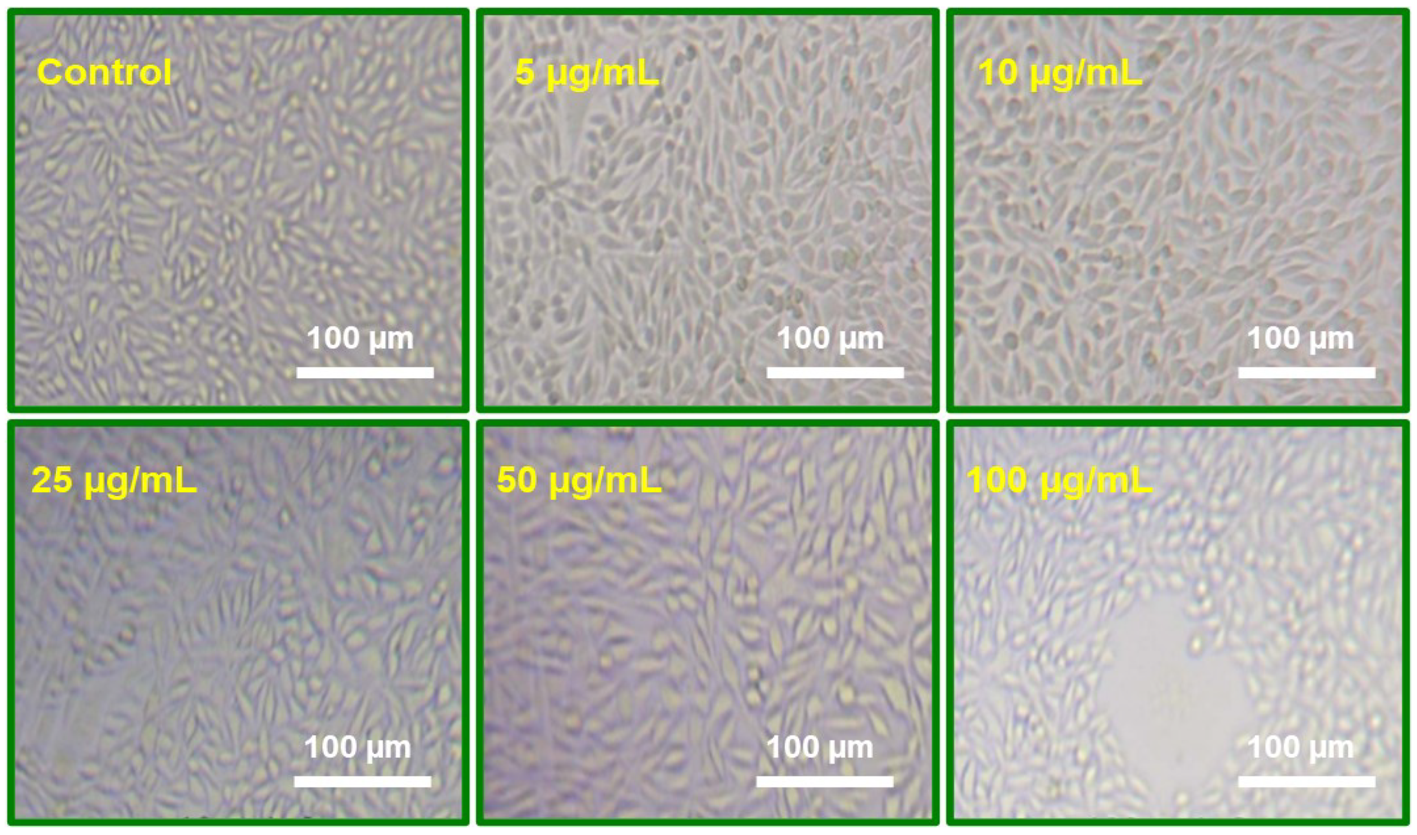 Molecules 29 01464 g009