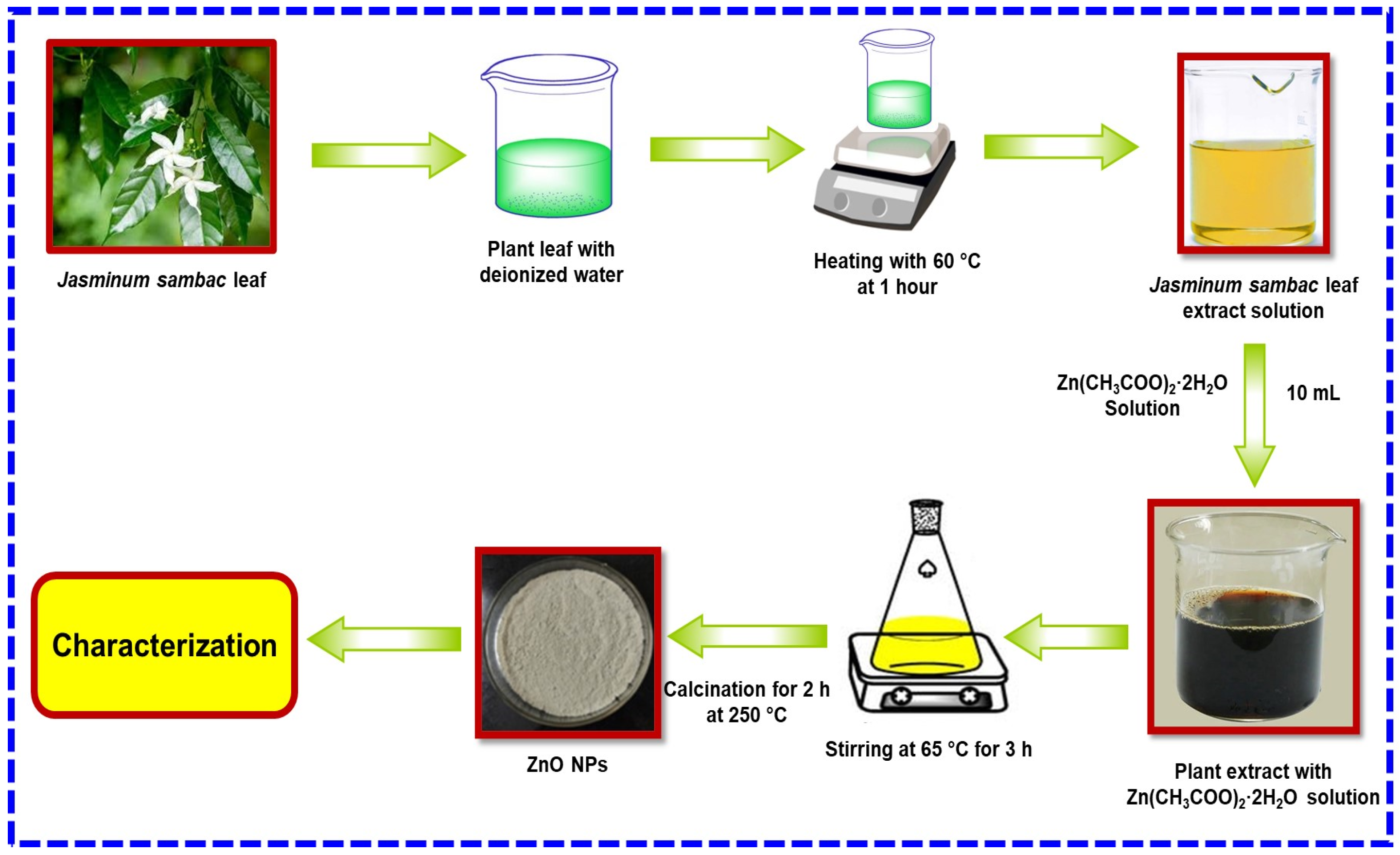 Molecules 29 01464 g010