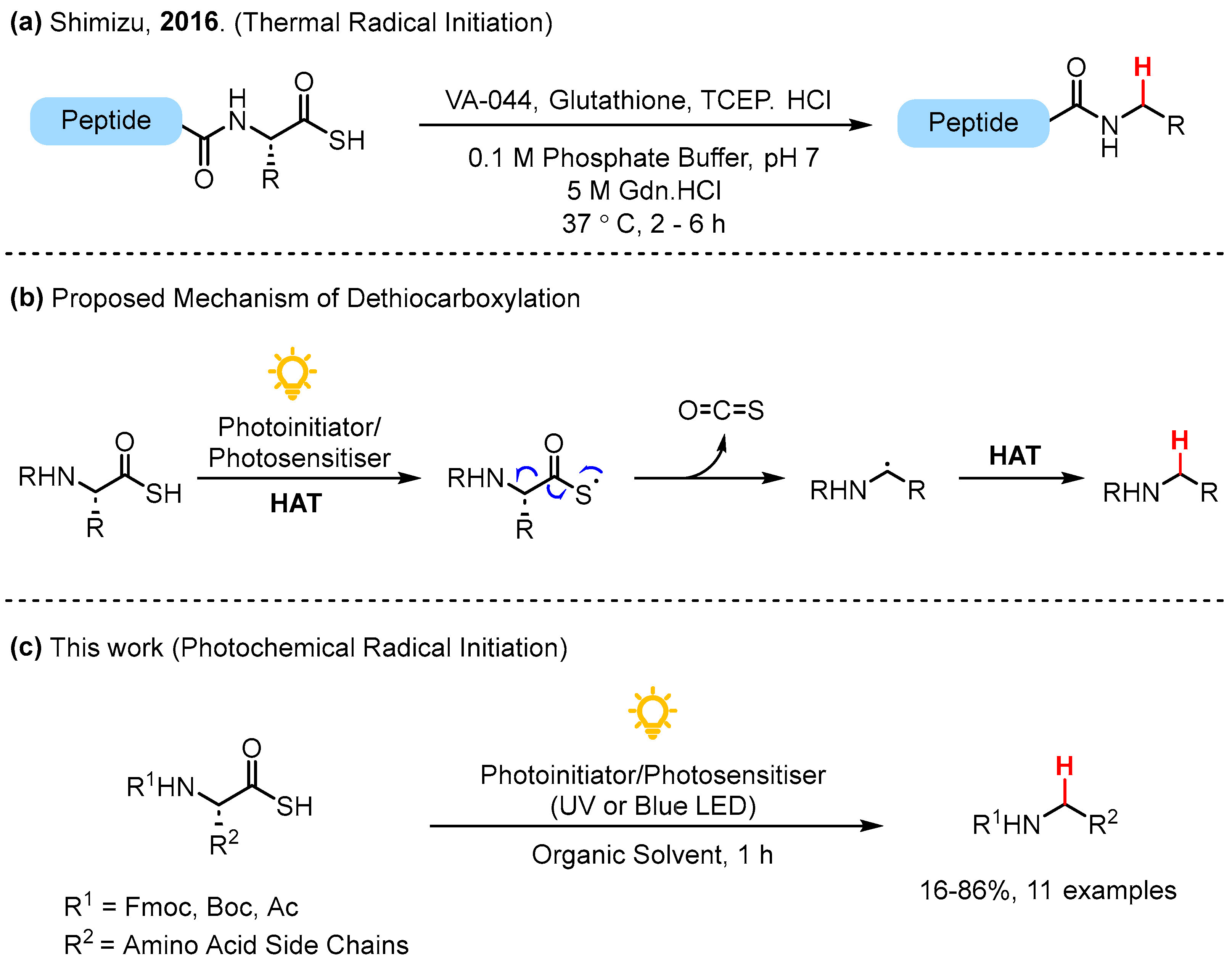 Molecules 29 01465 g001