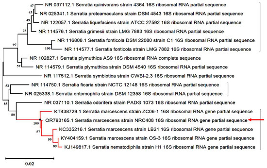 Gene Cloning, Heterologous Expression, and In Silico Analysis of ...