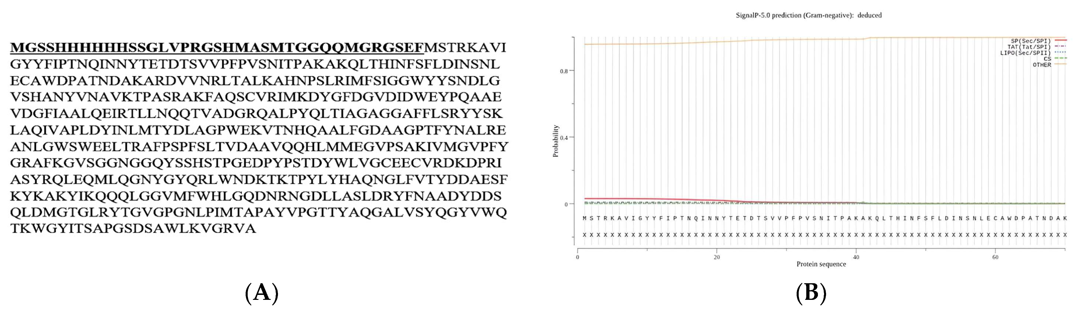 Molecules 29 01466 g004