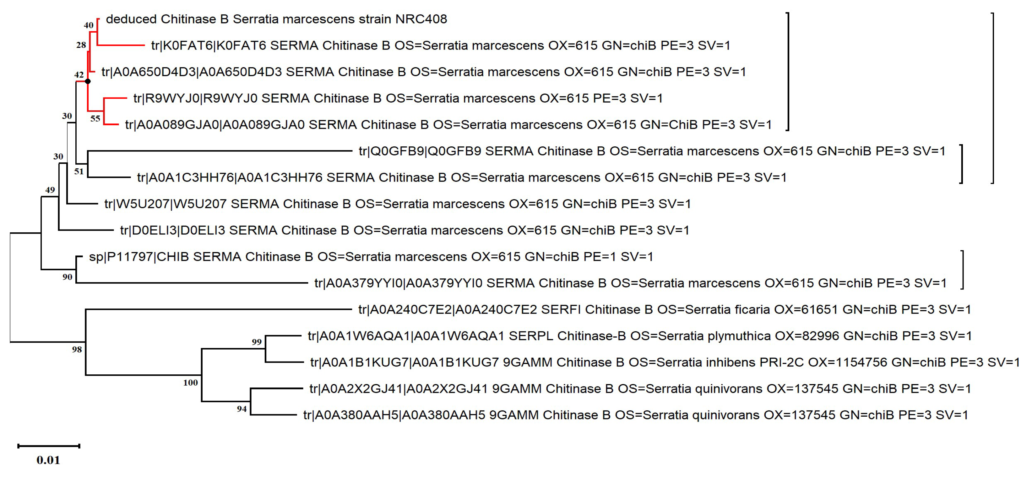 Molecules 29 01466 g005