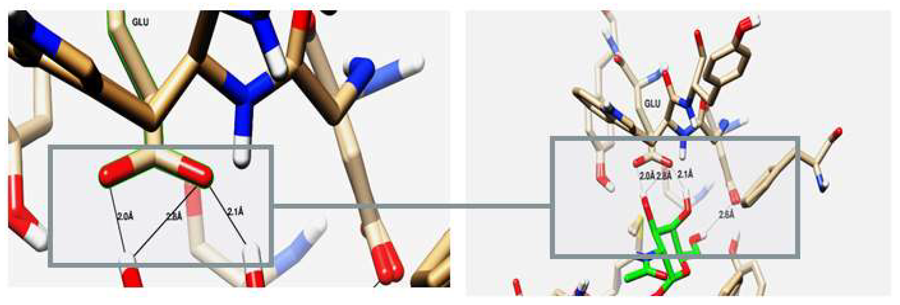 Molecules 29 01466 g010