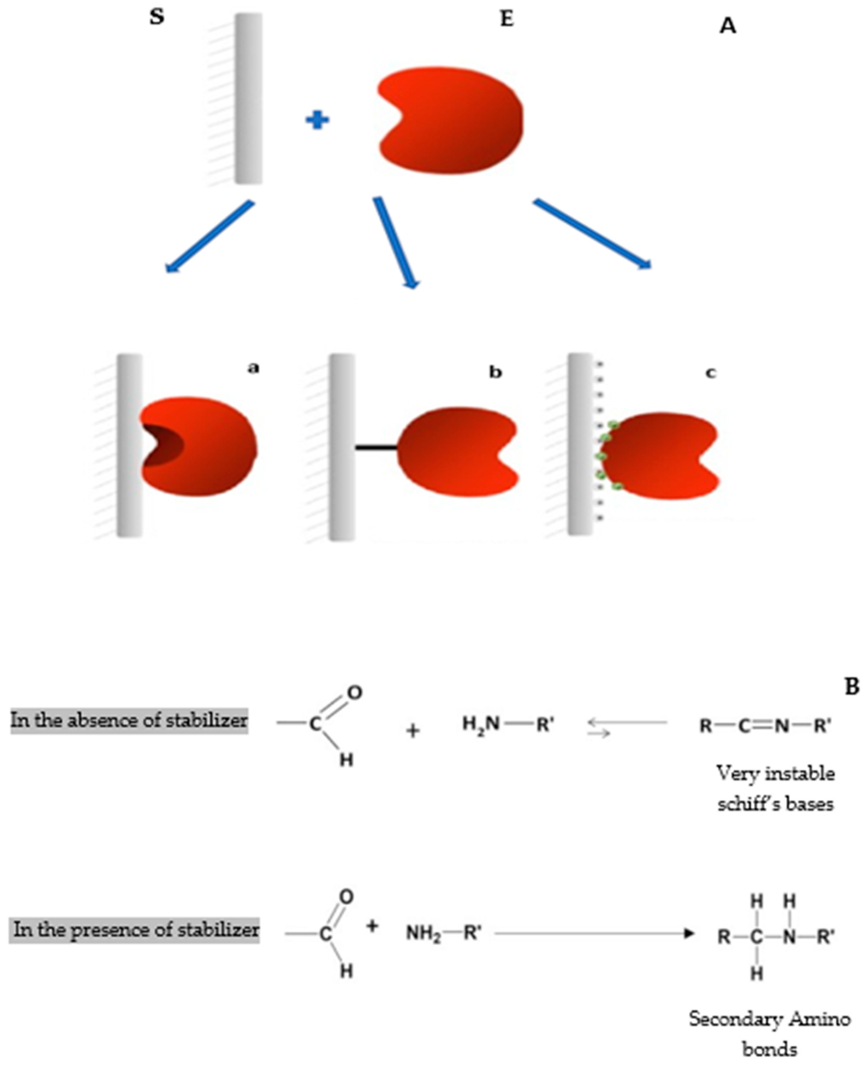 Molecules 29 01467 g001