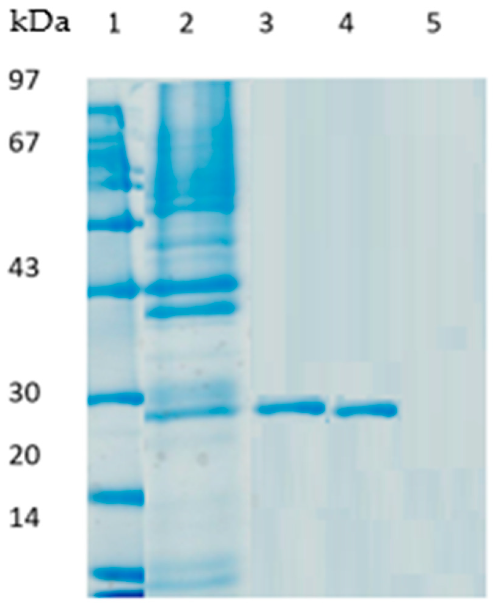 Molecules 29 01467 g003