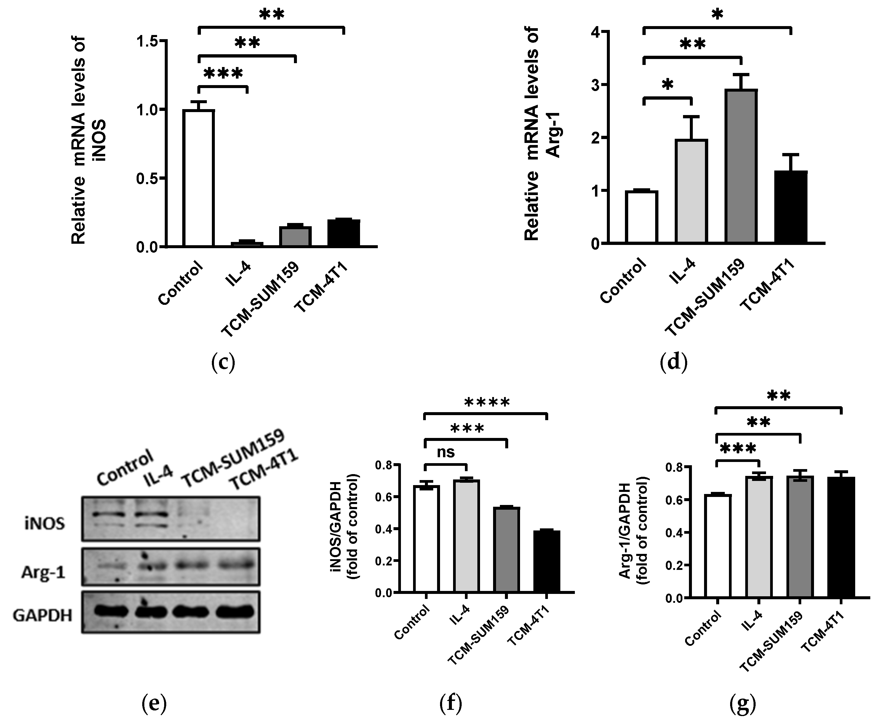 Molecules 29 01469 g001b