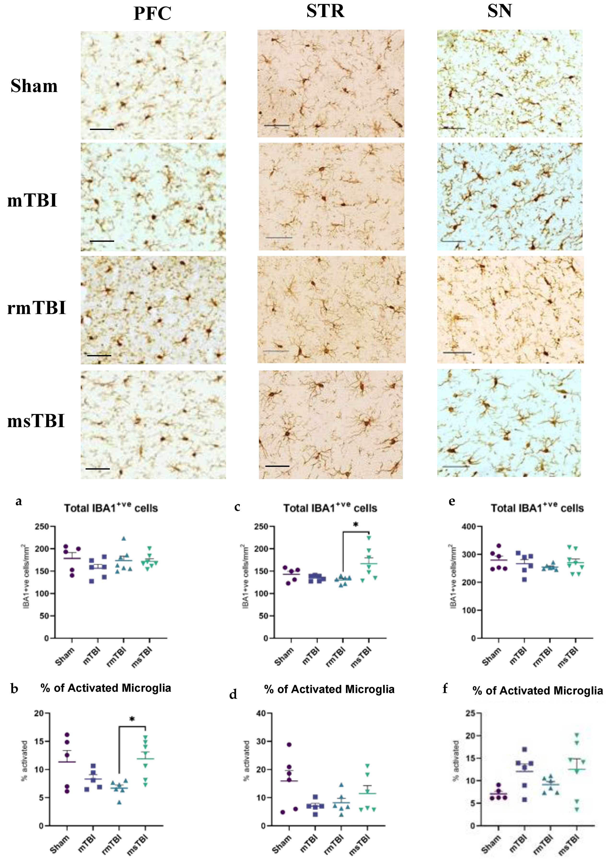 Molecules 29 01470 g002 Molecules 29 01470 g002