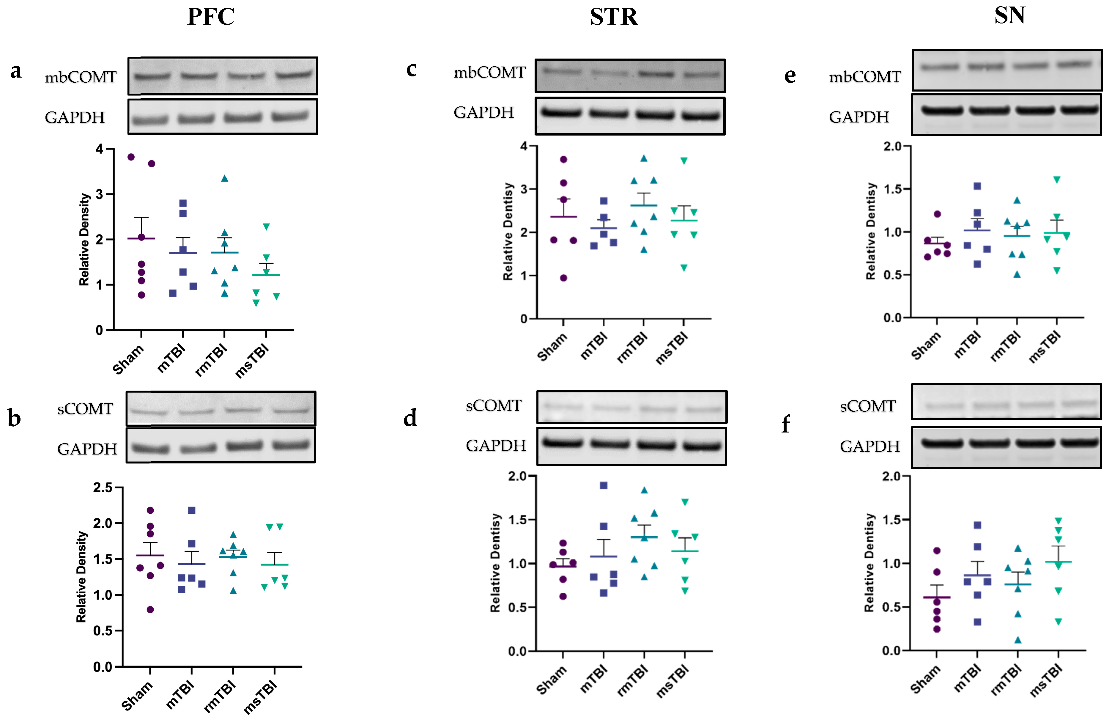 Molecules 29 01470 g005 Molecules 29 01470 g005