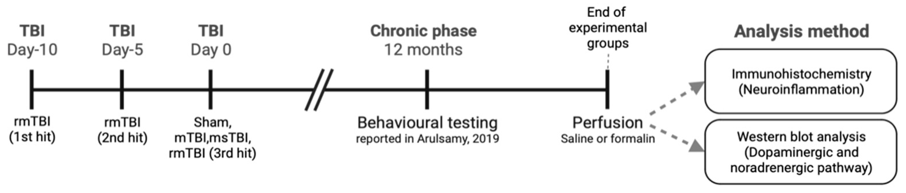 Molecules 29 01470 g006 Molecules 29 01470 g006