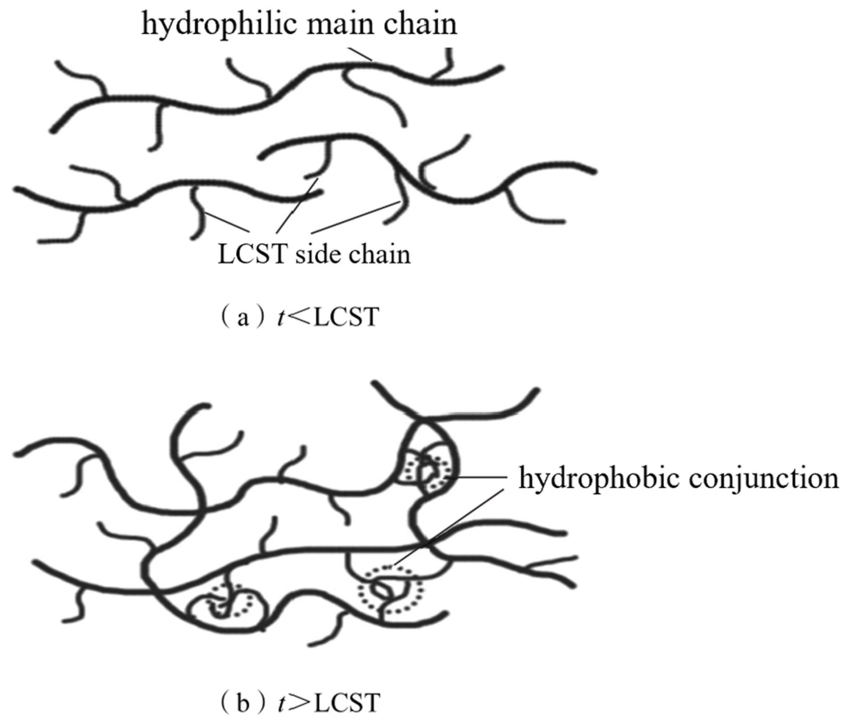 Molecules 29 01471 g004 Molecules 29 01471 g004