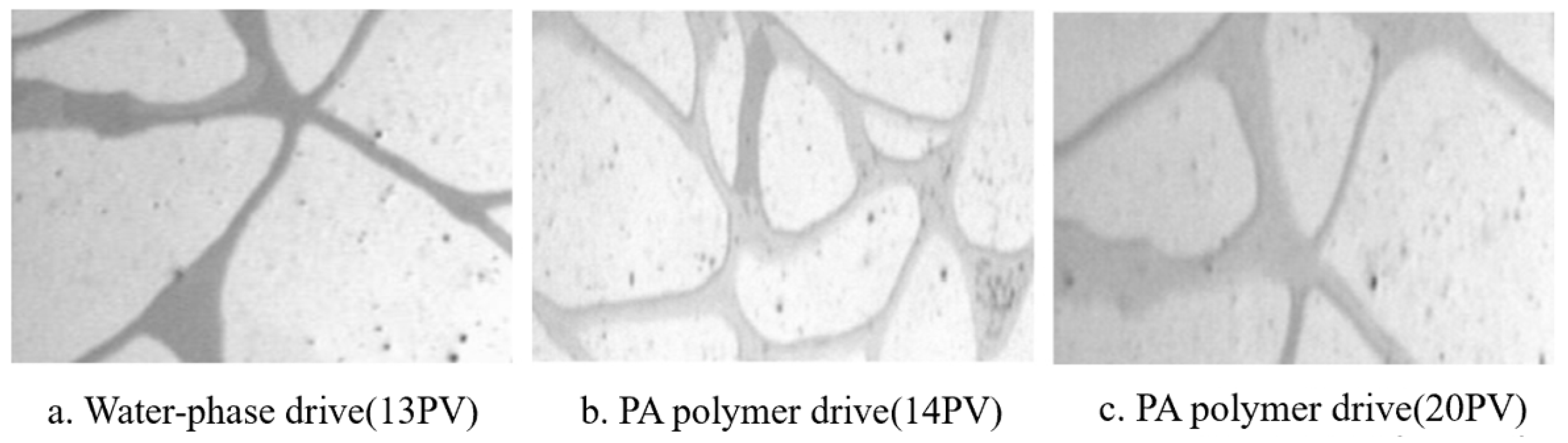 Molecules 29 01471 g006 Molecules 29 01471 g006