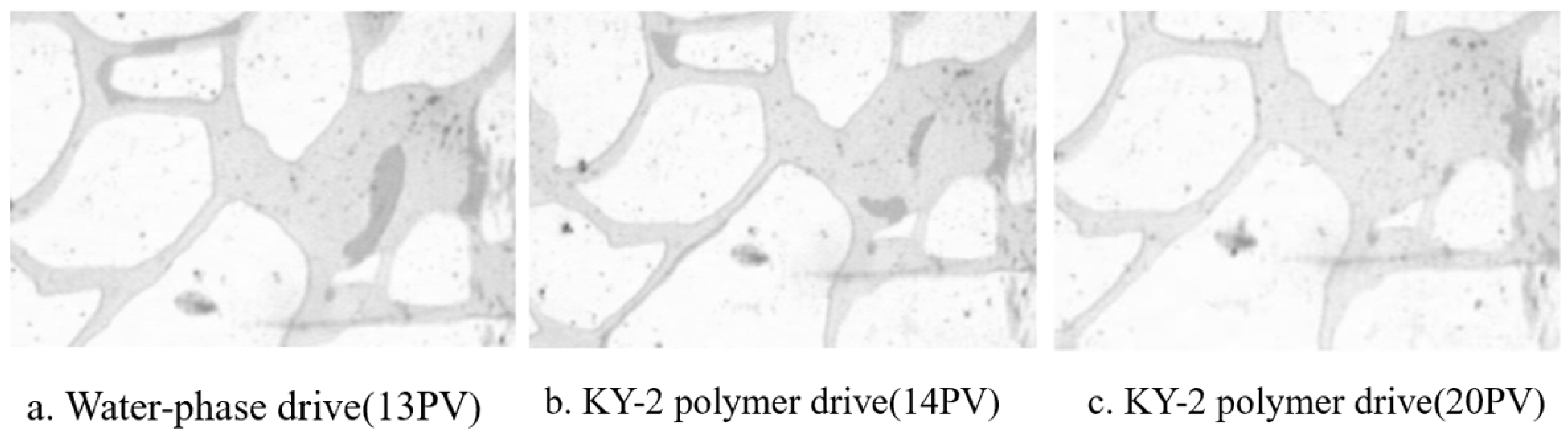 Molecules 29 01471 g007 Molecules 29 01471 g007