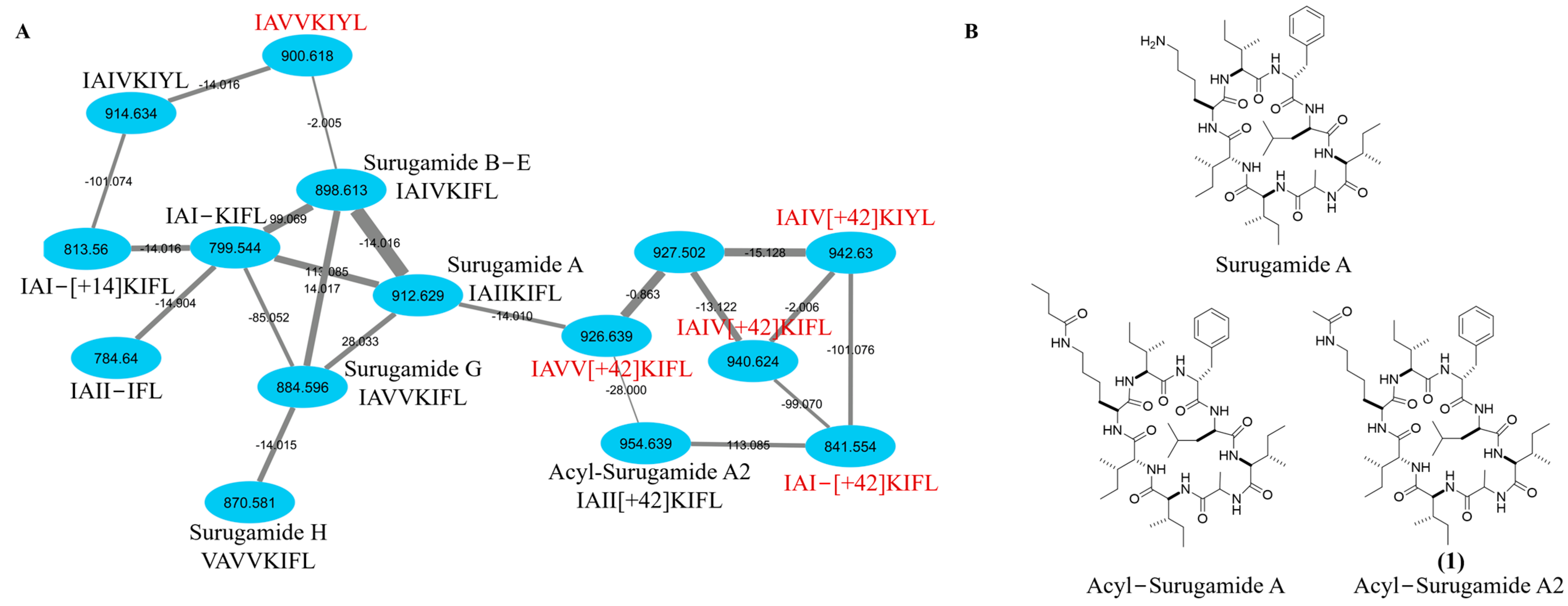 Molecules 29 01482 g001