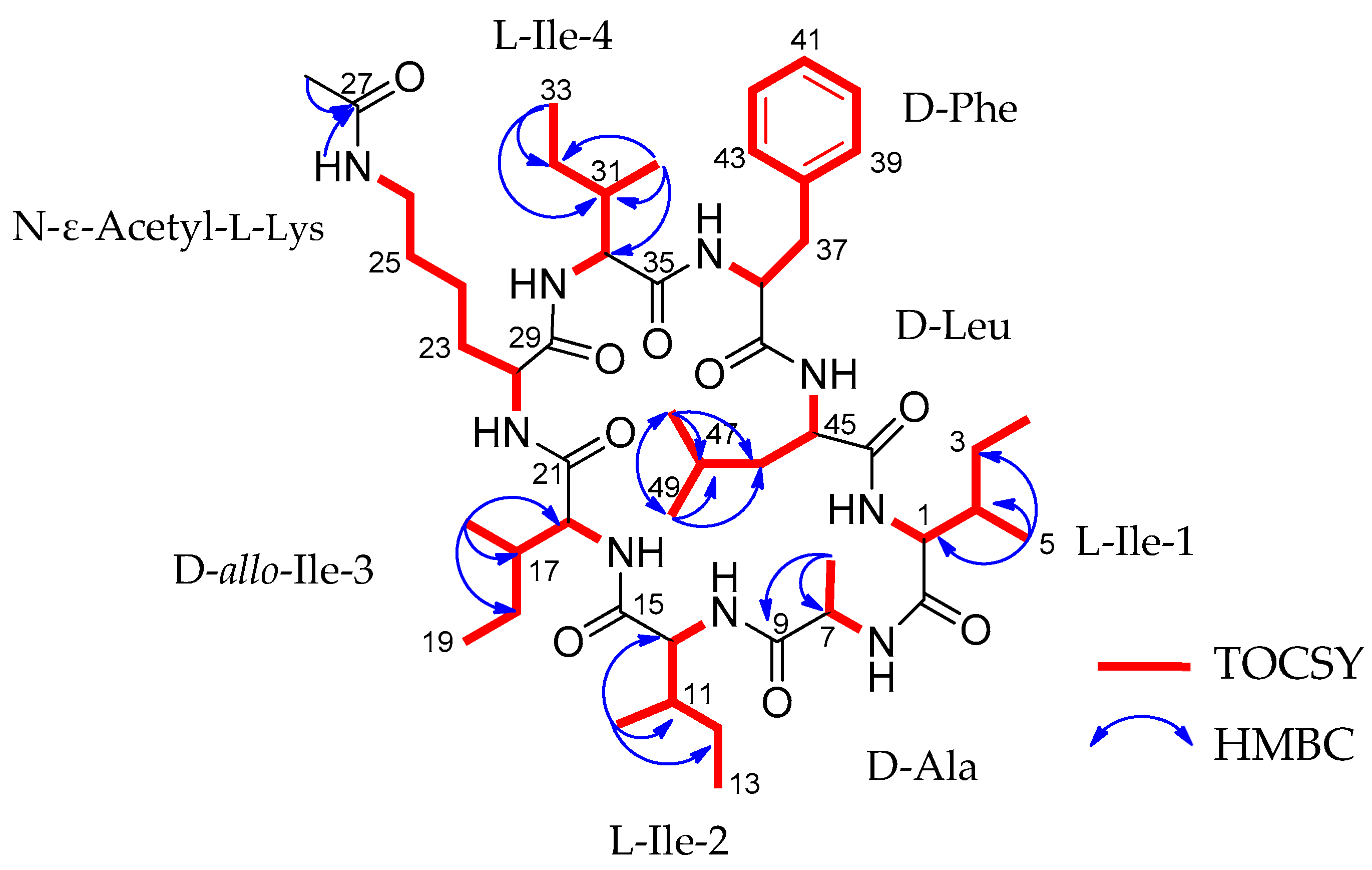 Discovery of Acyl-Surugamide A2 from Marine Streptomyces