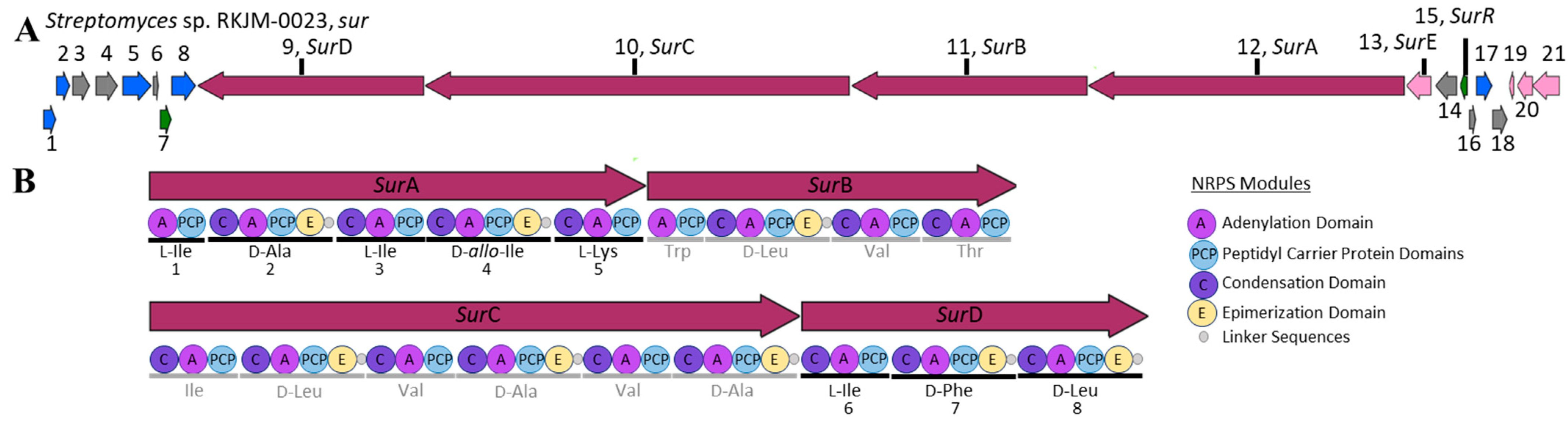 Molecules 29 01482 g004