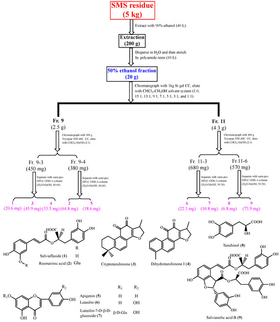 An Evaluation of the Edible Value of Salvia miltiorrhiza Seeds ...
