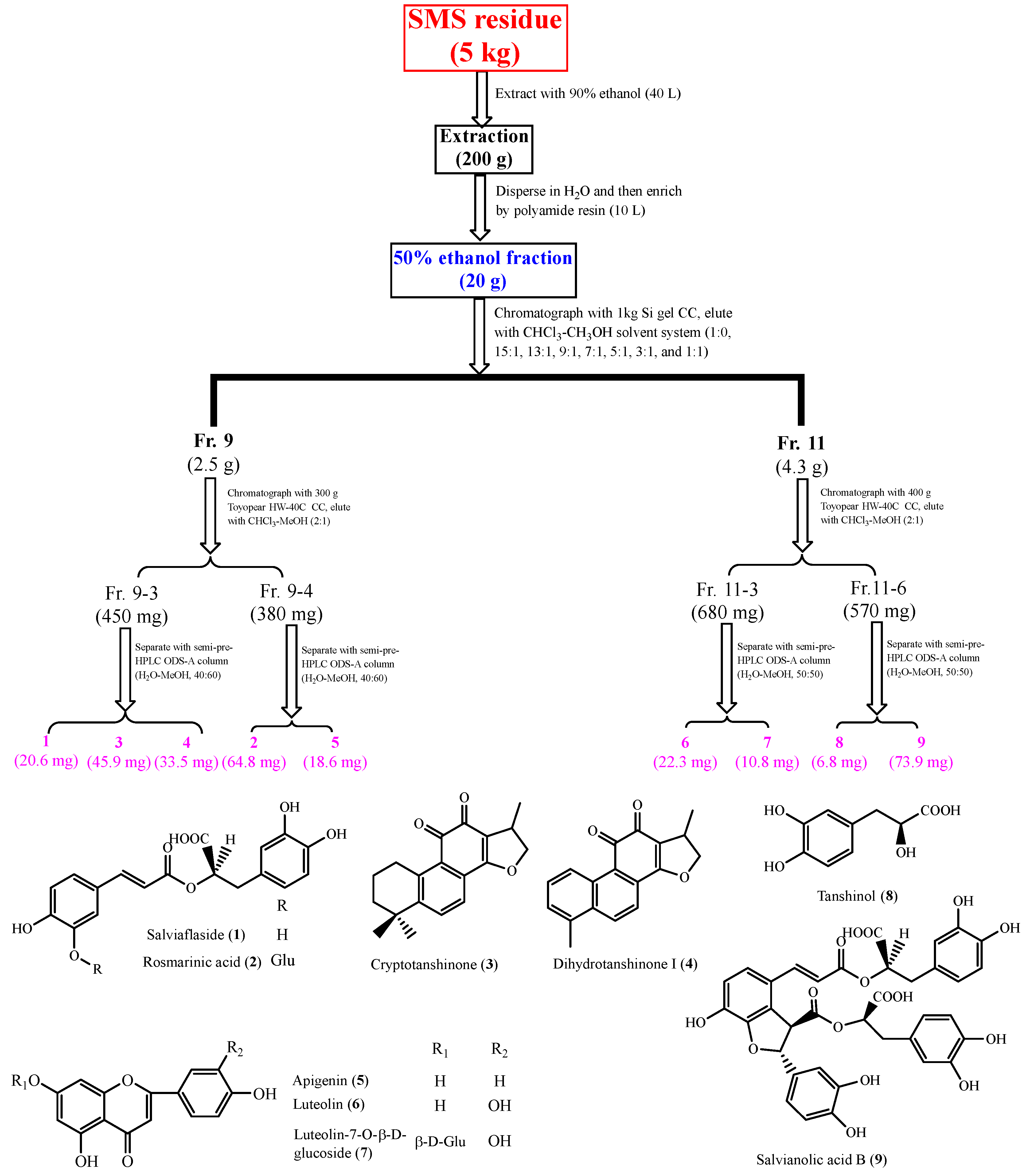 Molecules 29 01483 g002