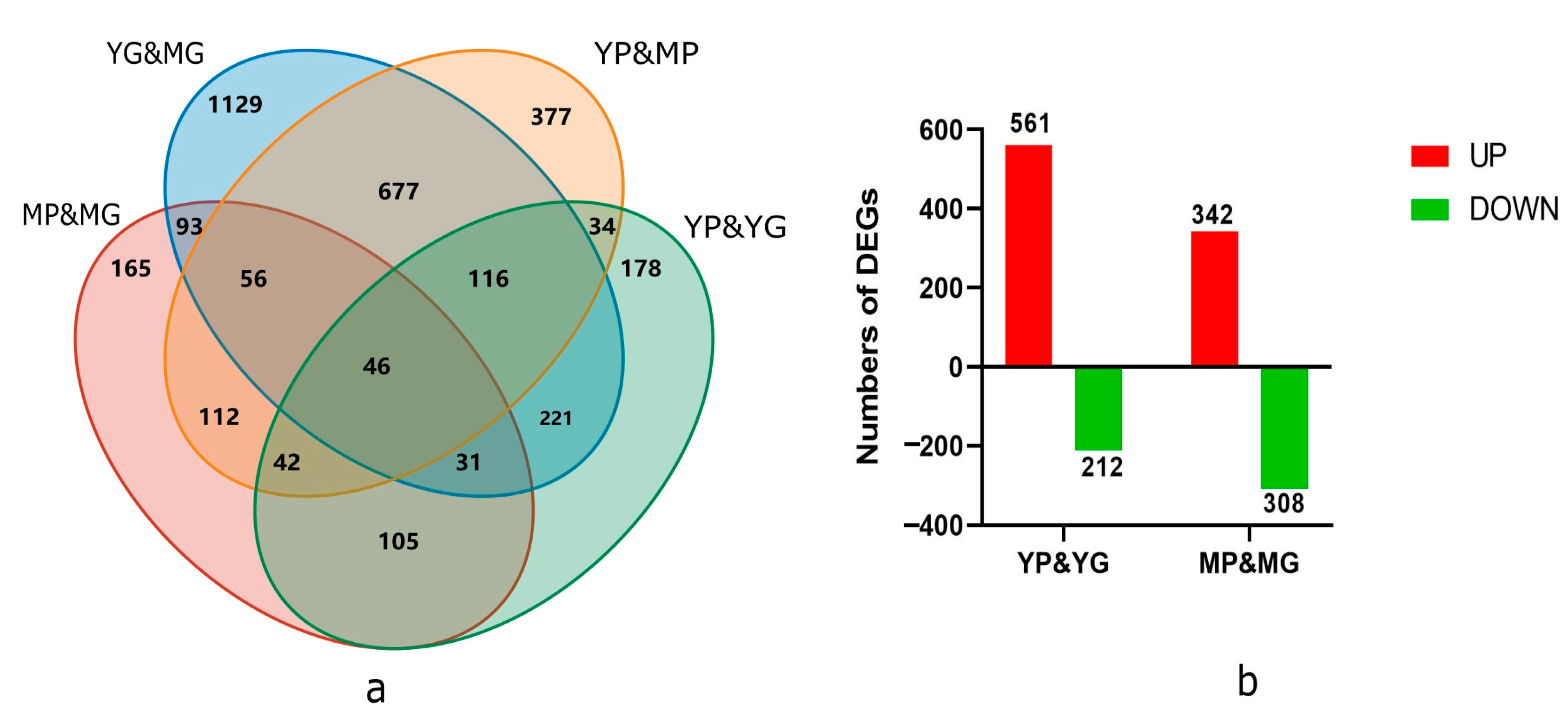 Molecules 29 01485 g002