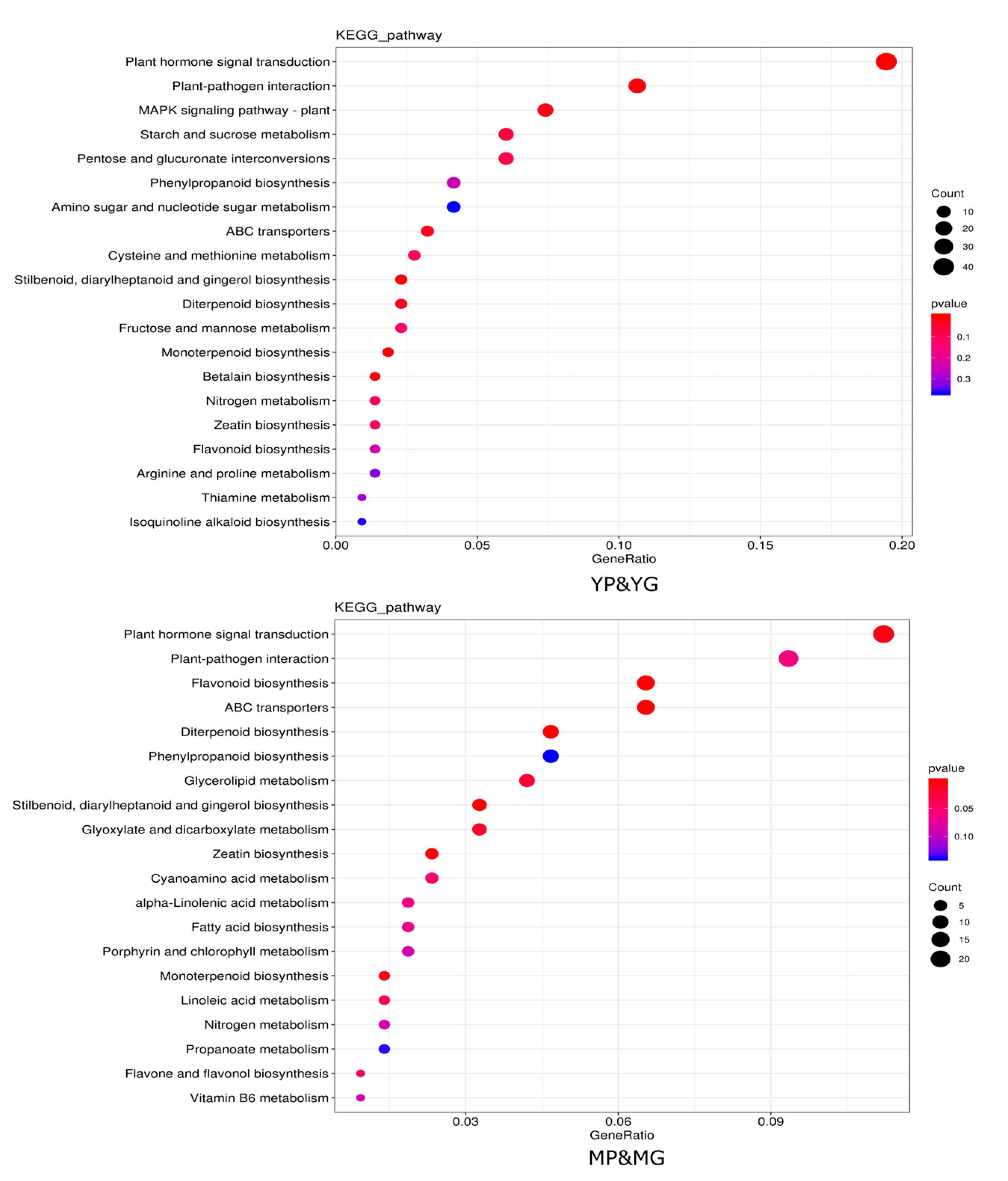 Molecules 29 01485 g003