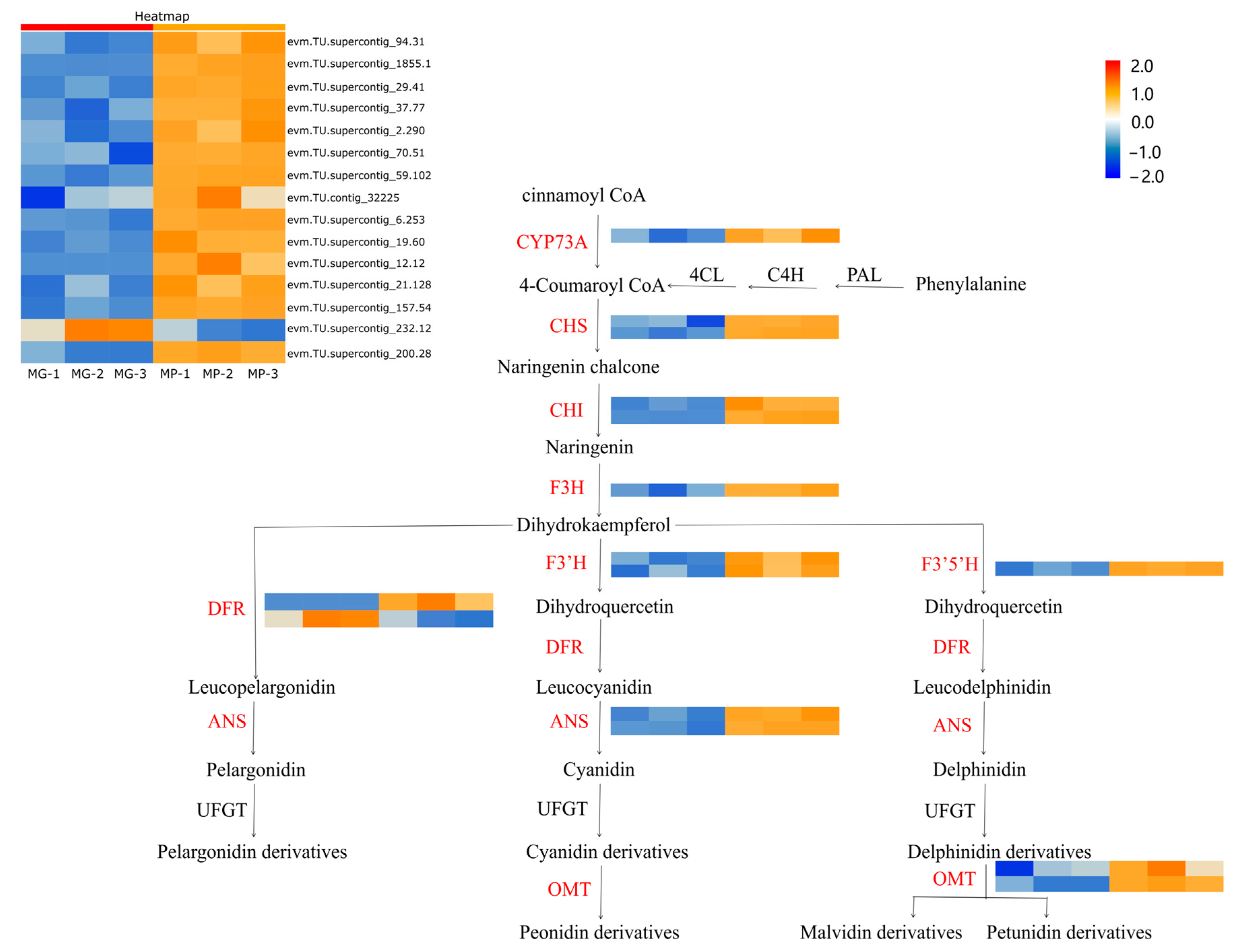 Molecules 29 01485 g005